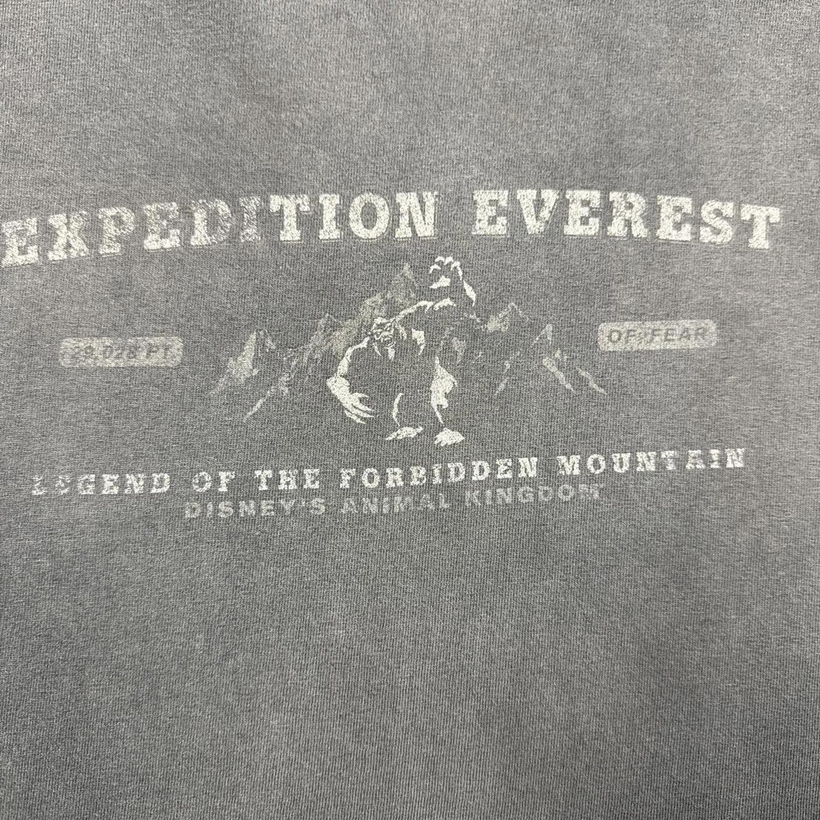 Disney Everest Expedition Faded Graphic 1999 T-Shirt Size US XL / EU 56 / 4 - 4 Thumbnail