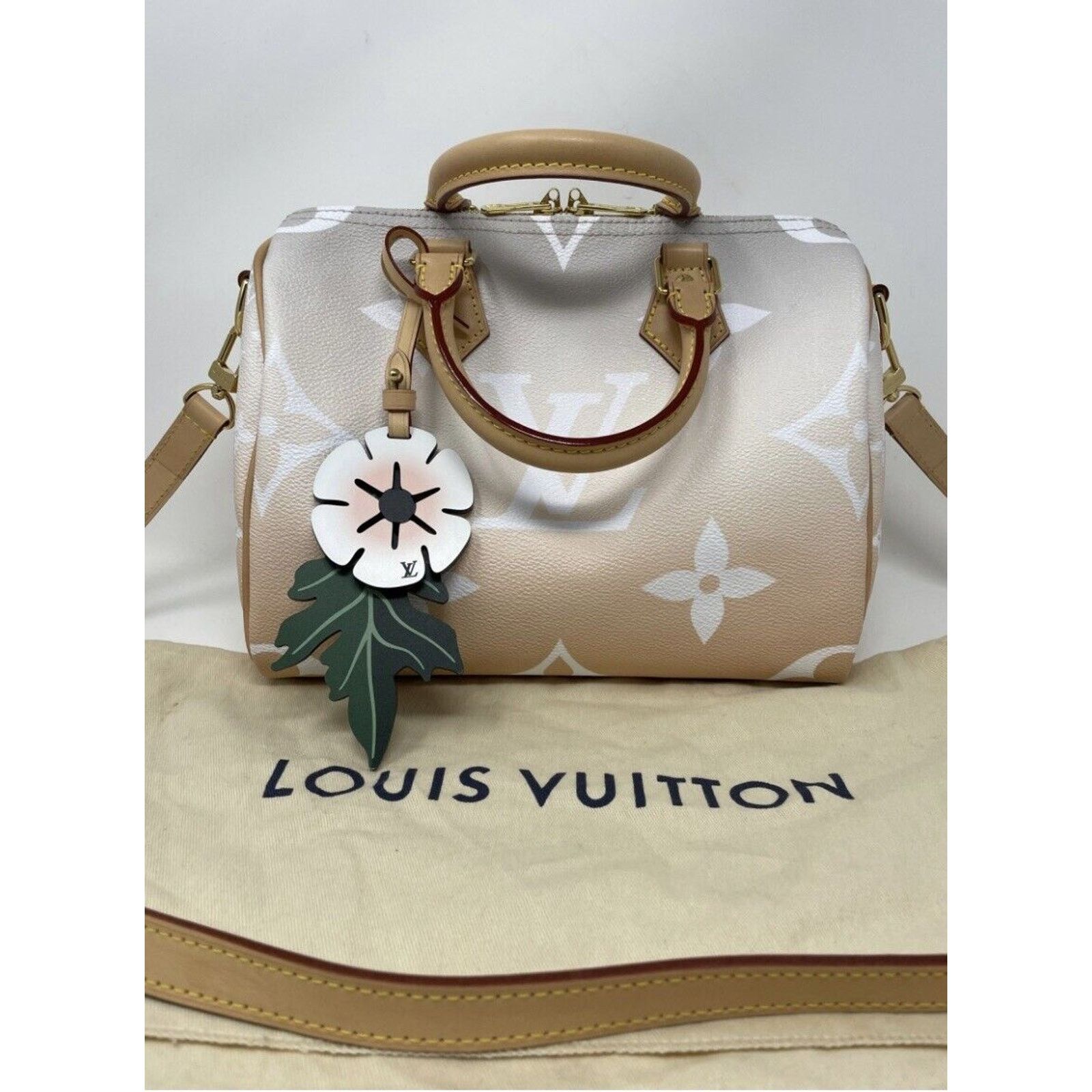 Louis Vuitton Louis Vuitton Speedy 25 Bandouliere By The Pool Brume Mist Size ONE SIZE - 2 Thumbnail