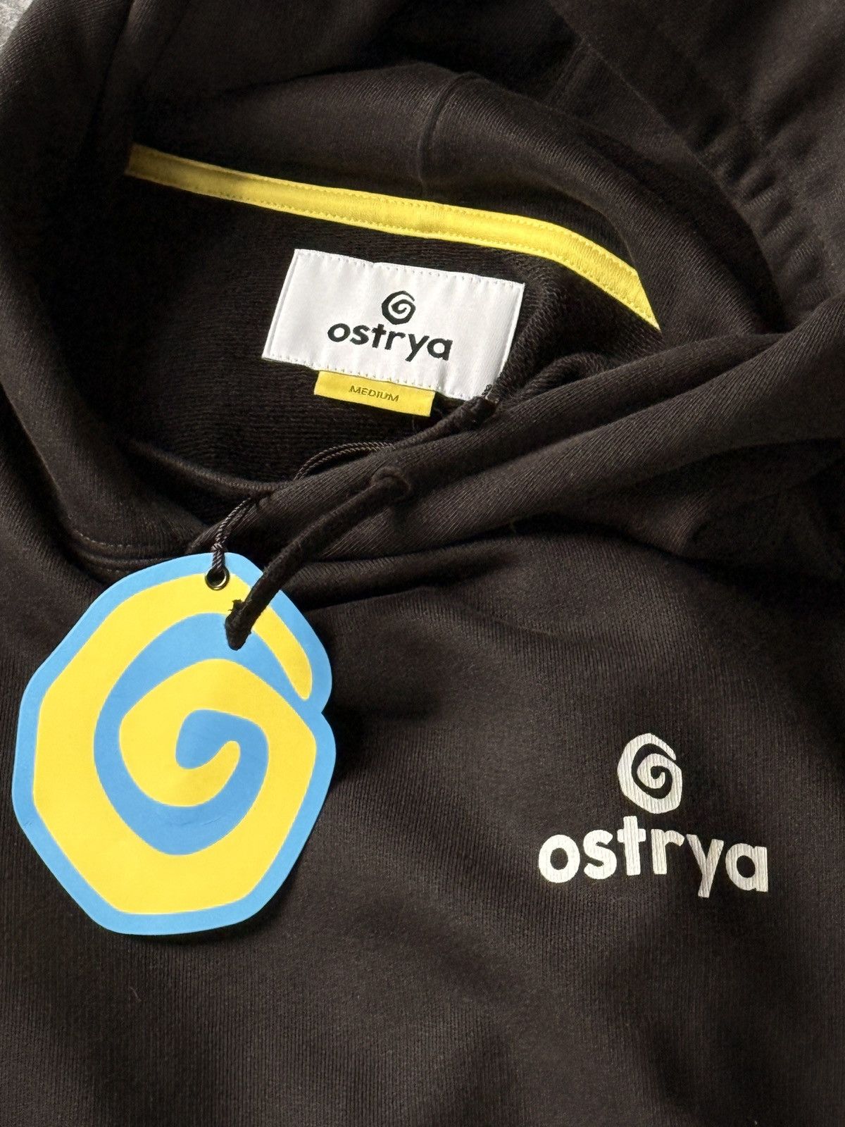 Ostrya Ostrya Core Logo Hoodie Size US M / EU 48-50 / 2 - 9 Thumbnail