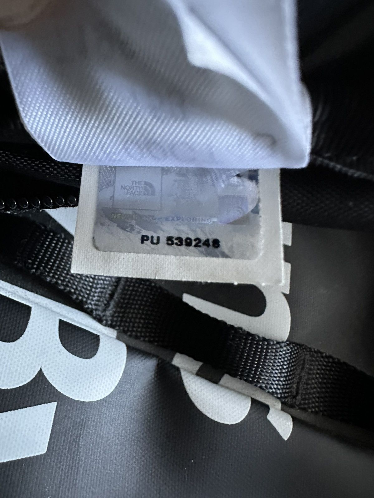 Supreme The North Face Metallic Borealis Backpack