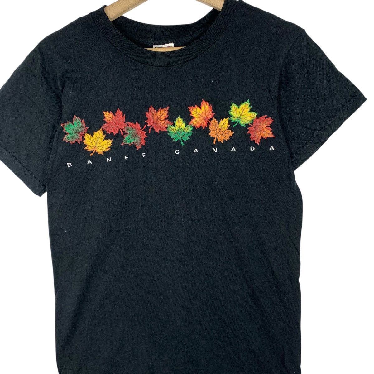 Vintage Vintage BANFF CANADA PARK Pine Leaves Floral Tee Shirt Top Size S / US 4 / IT 40 - 3 Thumbnail