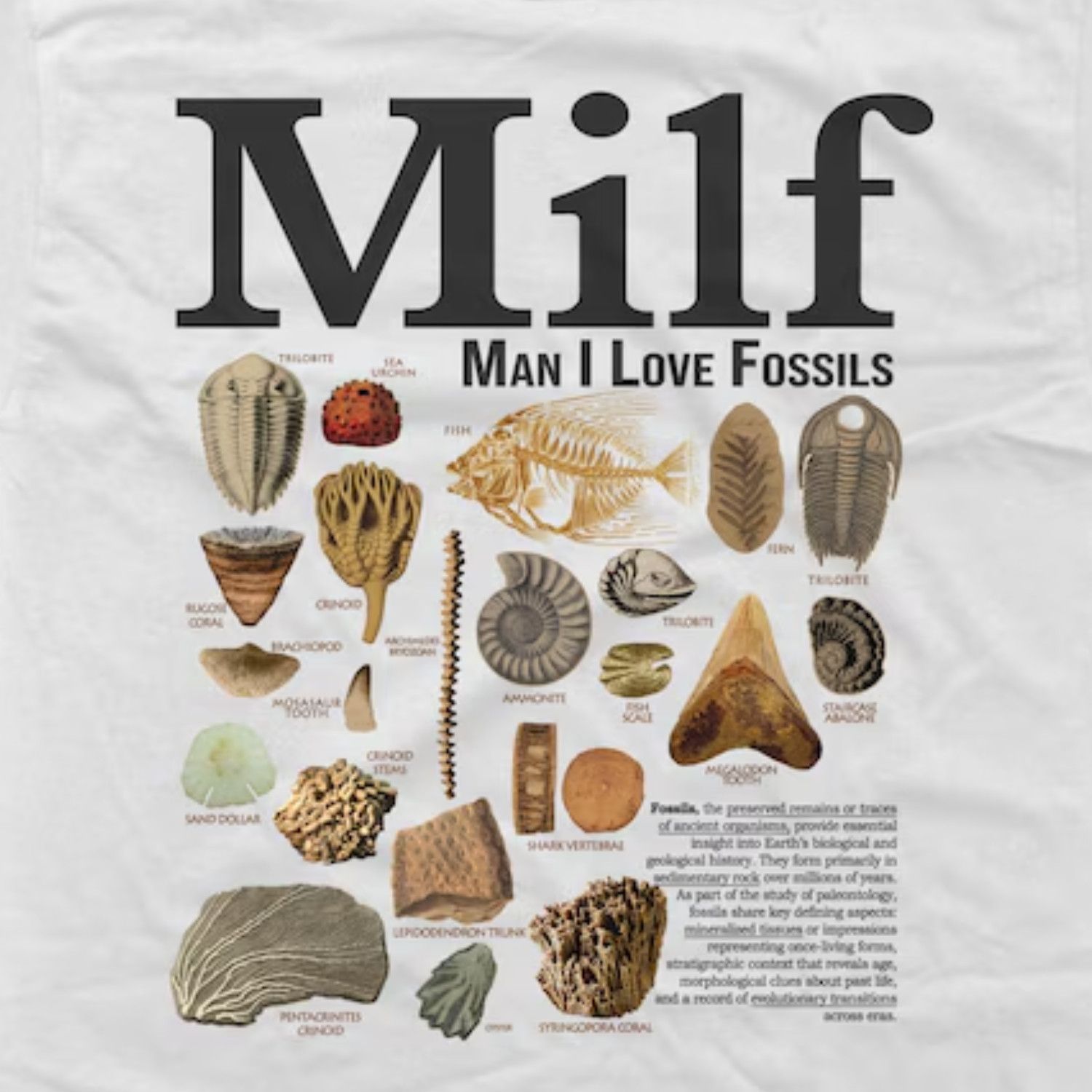 Japanese Brand Man I Love Fossils Vintage T-Shirt, Funny Paleontology Meme Size US L / EU 52-54 / 3 - 2 Thumbnail