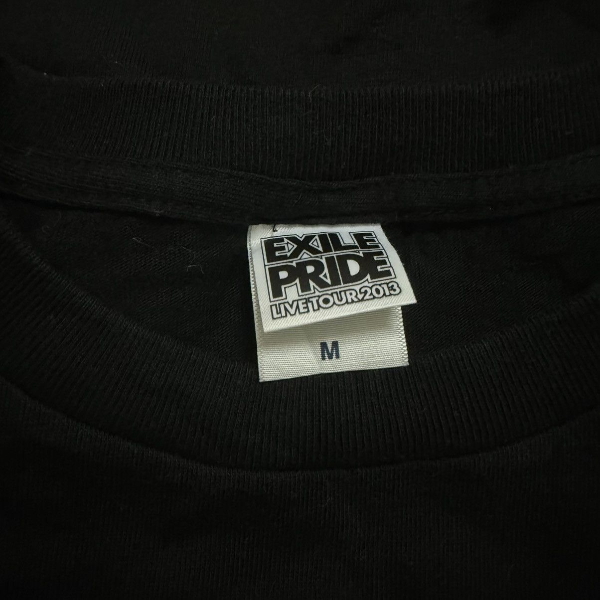 Band Tees Exile Pride Live Tour 2013 Tshirt Japanese Band Size US M / EU 48-50 / 2 - 5 Thumbnail