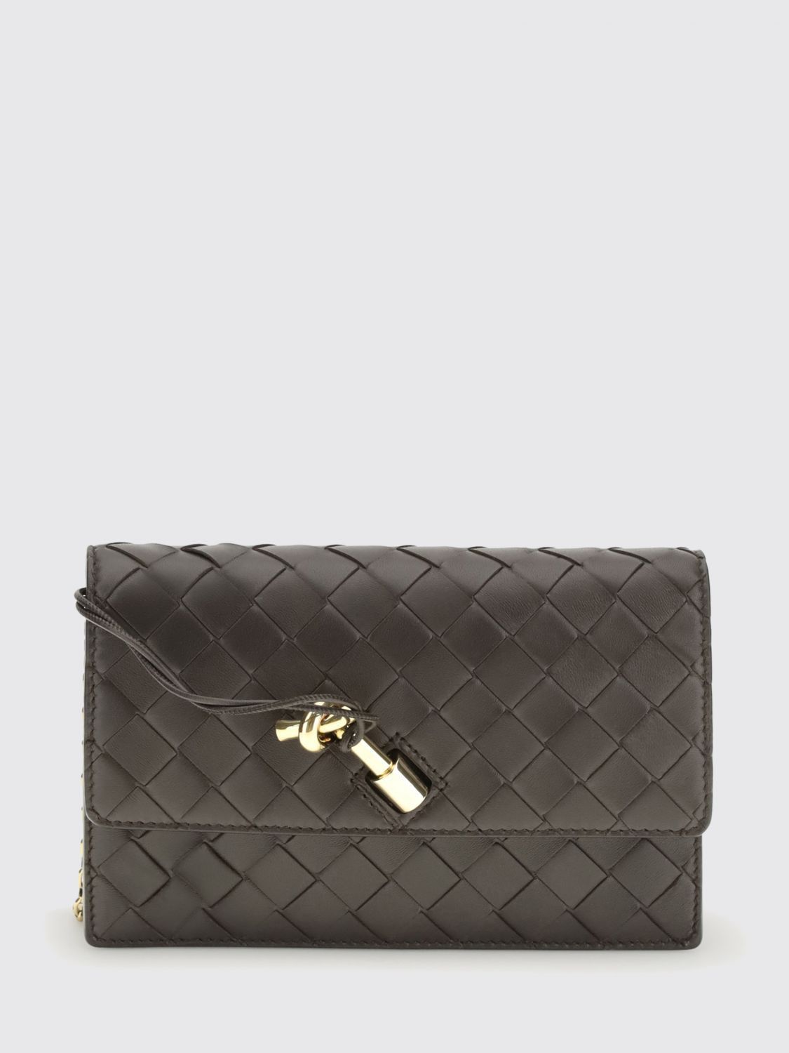 Bottega Veneta Bottega Veneta Mini Bag Woman Brown Size ONE SIZE - 1 Thumbnail