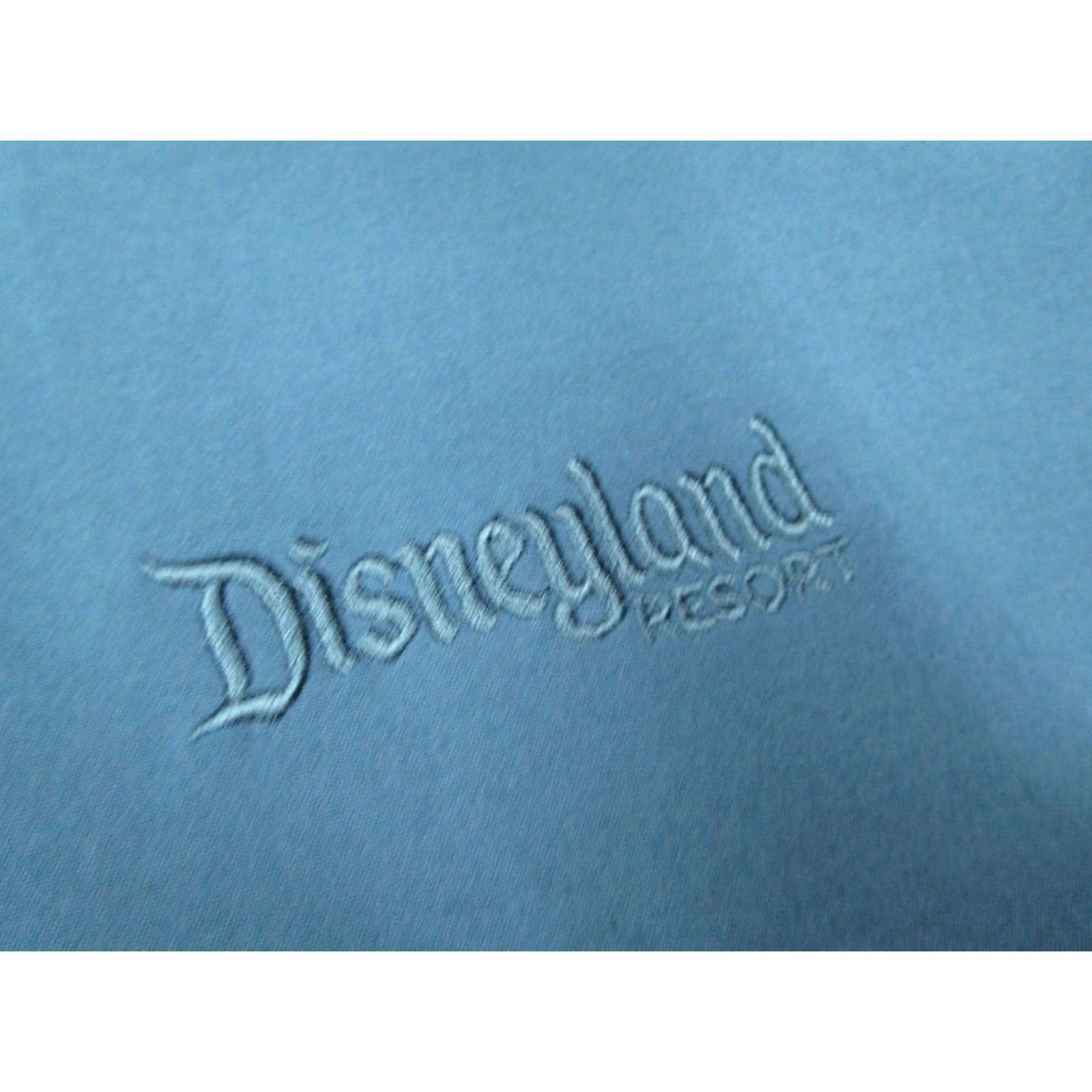 Nike Nike Golf Jacket Mens XL Blue Dri-Fit 1/4 Zip Pullover Disneyland Resort Size US XL / EU 56 / 4 - 4 Thumbnail