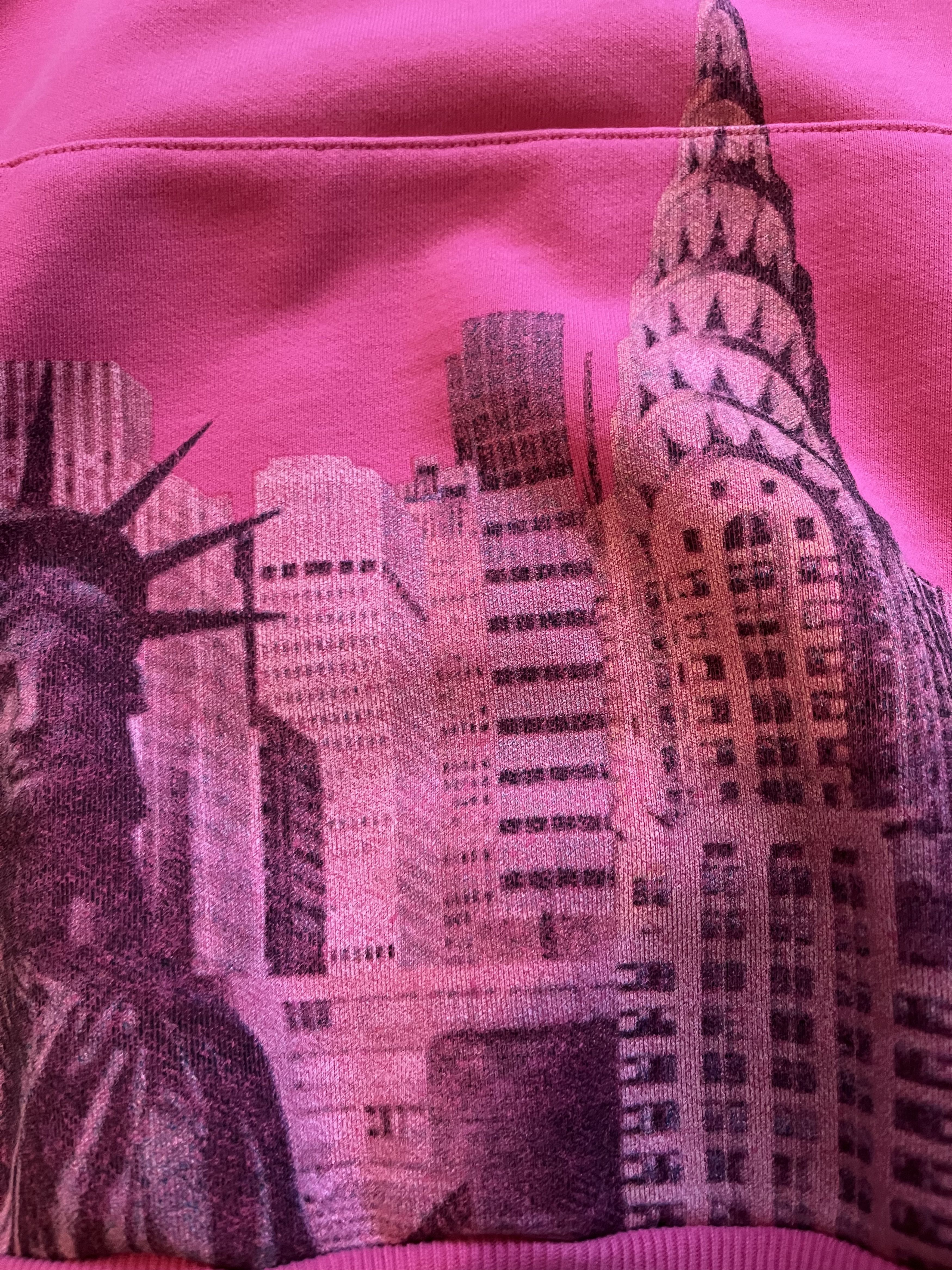 Balenciaga Balenciaga New York Pink Hoodie Size US L / EU 52-54 / 3 - 10 Thumbnail