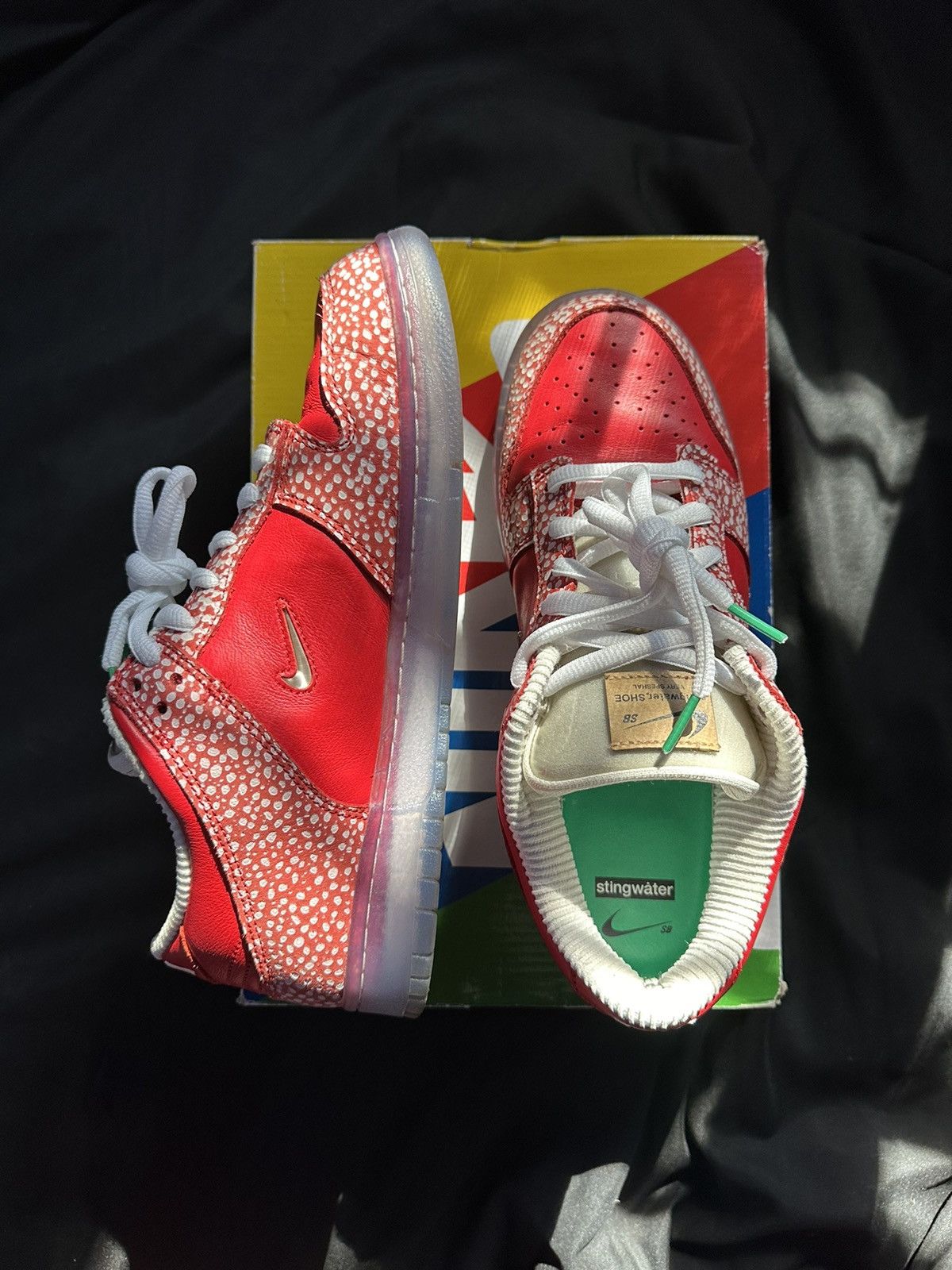 Nike × Stingwater LOW SB DUNK “STINGWATER” Size US 9.5 / EU 42-43 - 5 Thumbnail