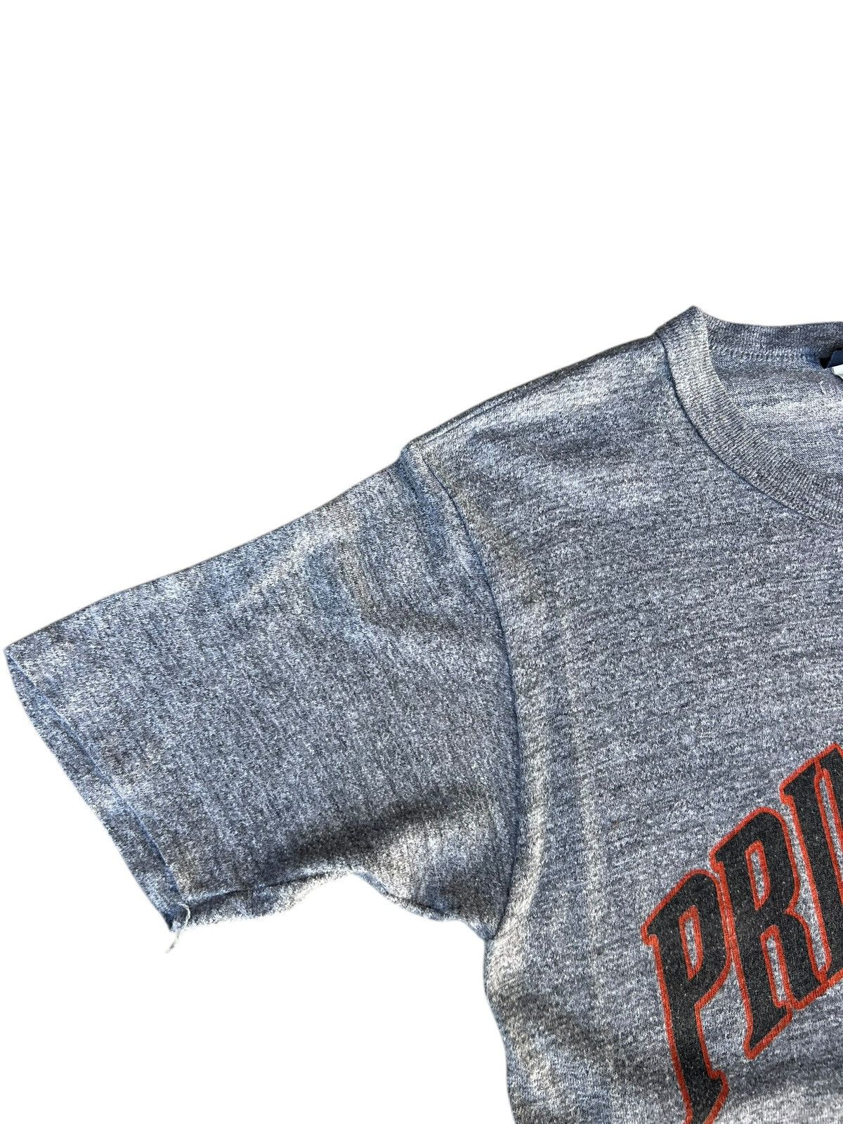 Jansport × Vintage Vintage 80s Jansport Princeton University Triblend tees Size US M / EU 48-50 / 2 - 7 Thumbnail