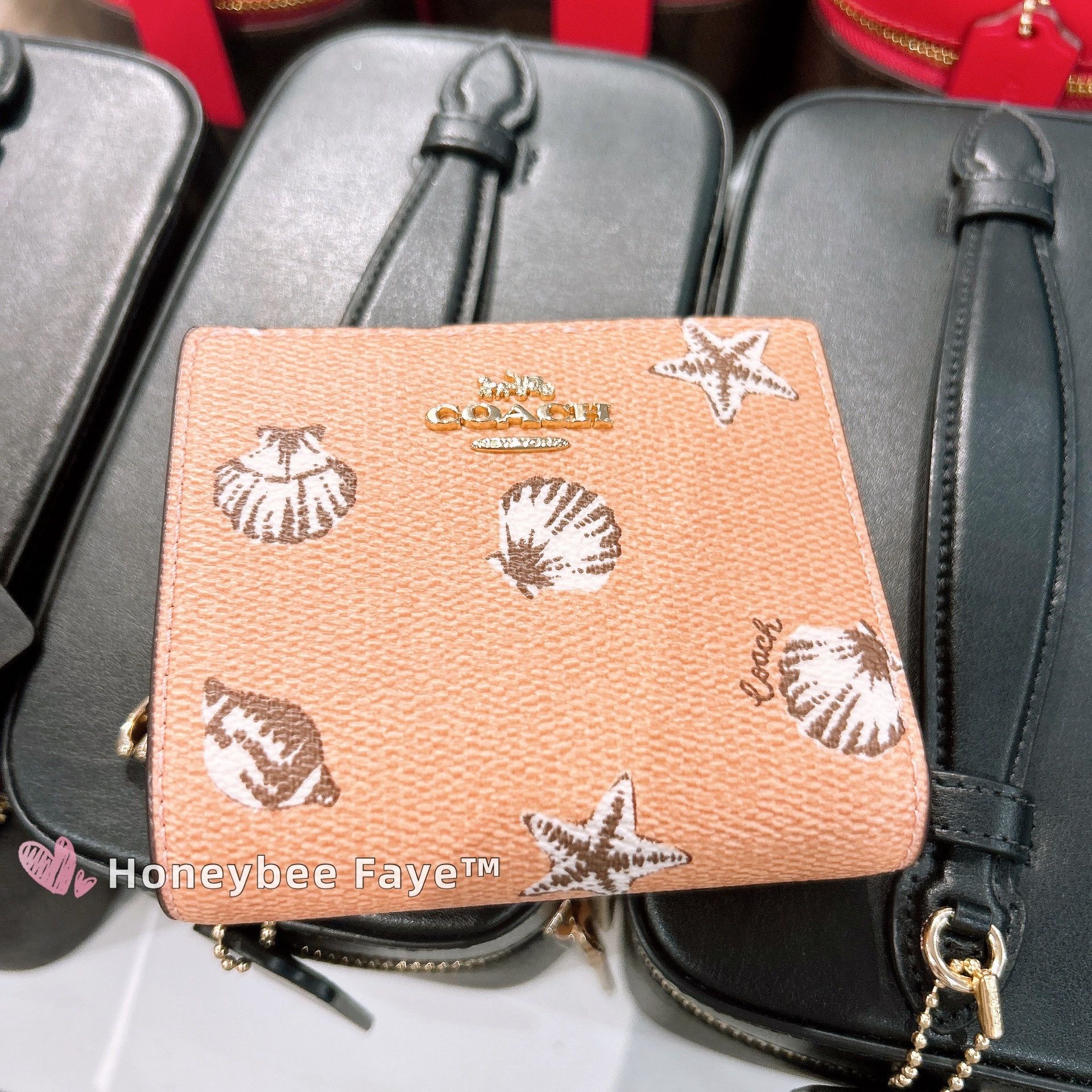 Coach Snap Wallet Coral Sunrise Shell Printed Canvas CBO73 Size ONE SIZE - 3 Thumbnail