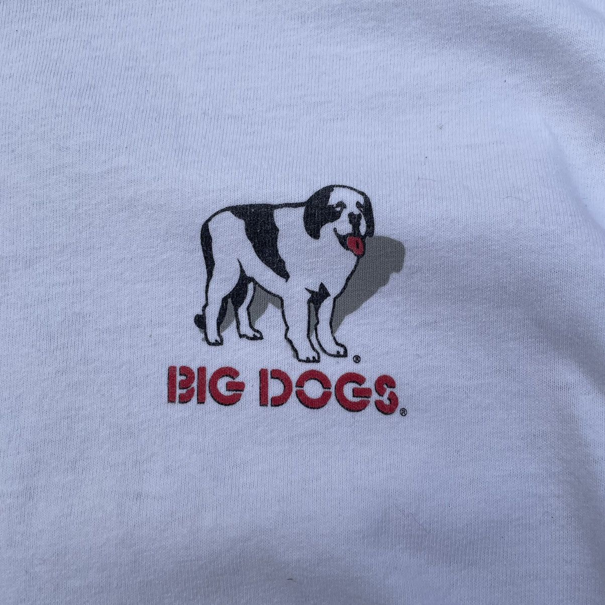 Rap Tees Vintage Big Dogs Santa Barbara T-shirts Big Logo 90s Y2K USA Size US L / EU 52-54 / 3 - 15 Thumbnail