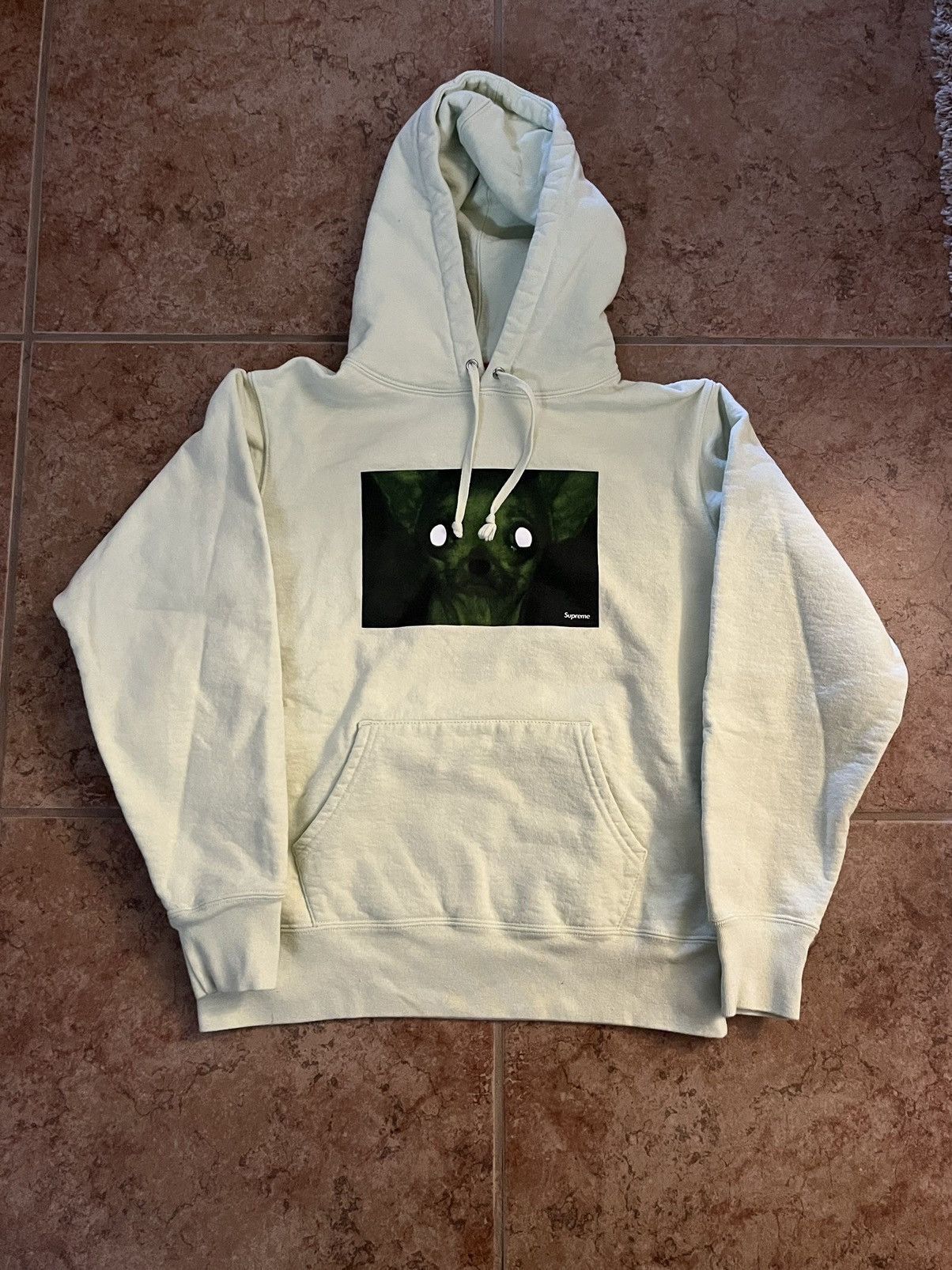 Image of Fw18 Supreme Chris Cunningham Chihuahua Hoodie in Mint, Men's (Size Small)