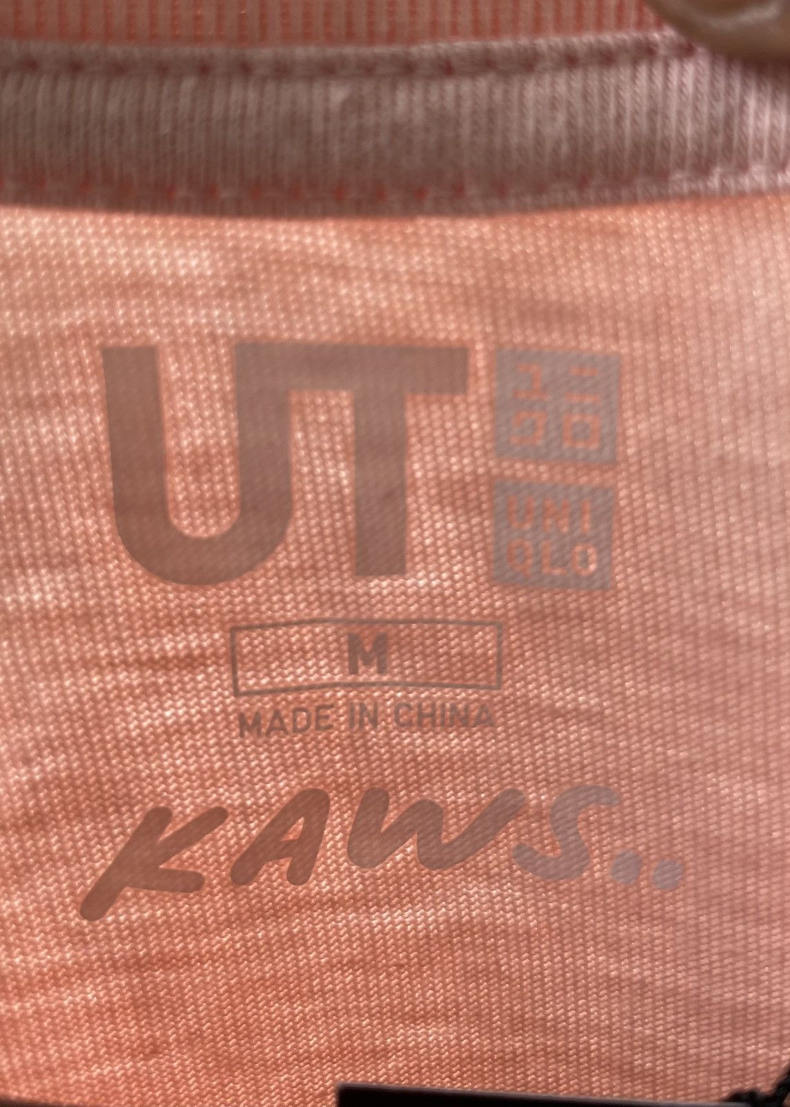 Kaws KAWS x Uniqlo Companion Tee (US Sizing) Size US M / EU 48-50 / 2 - 3 Thumbnail