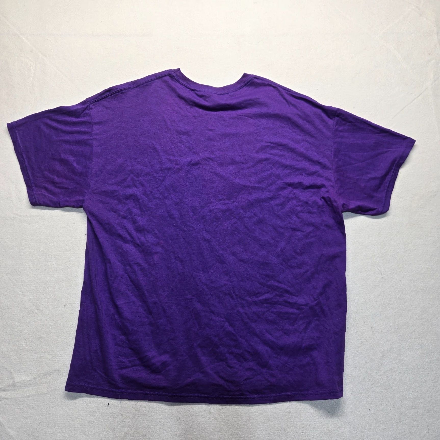 Hanes Hanes Shirt Adult Men's 2XL Purple Pulaski Panthers Virginia VA Tee T-Shirt XXL Size US XXL / EU 58 / 5 - 7 Thumbnail