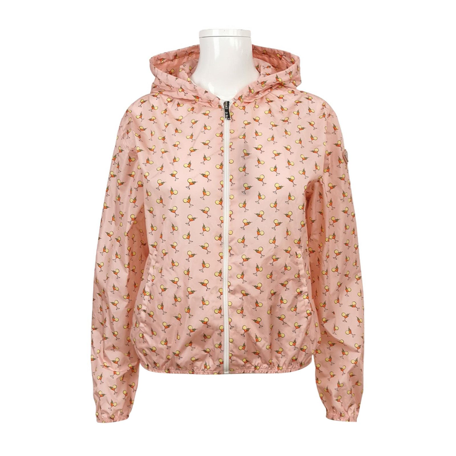 Prada Prada Colorblock Hooded Jacket for Women - dmc Size S / US 4 / IT 40 - 1 Thumbnail