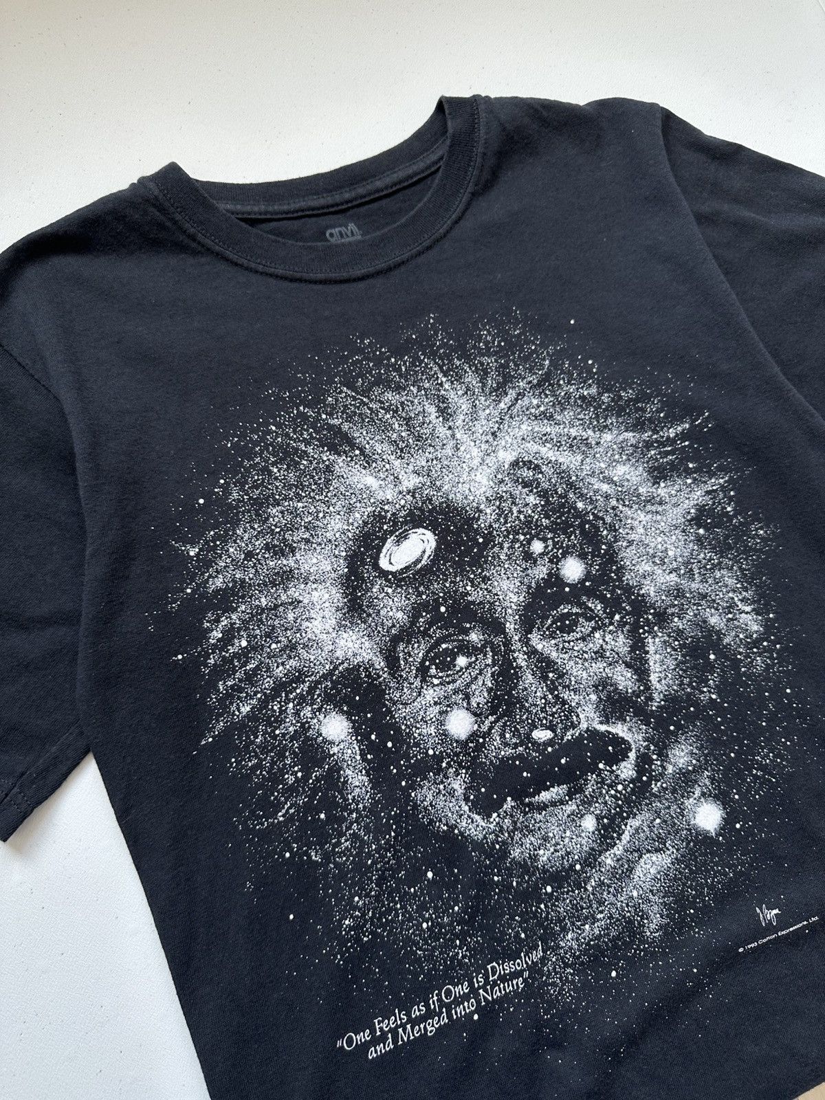 Anvil 90s Vintage Anvil Einstein Box Logo Tee Size US S / EU 44-46 / 1 - 7 Thumbnail