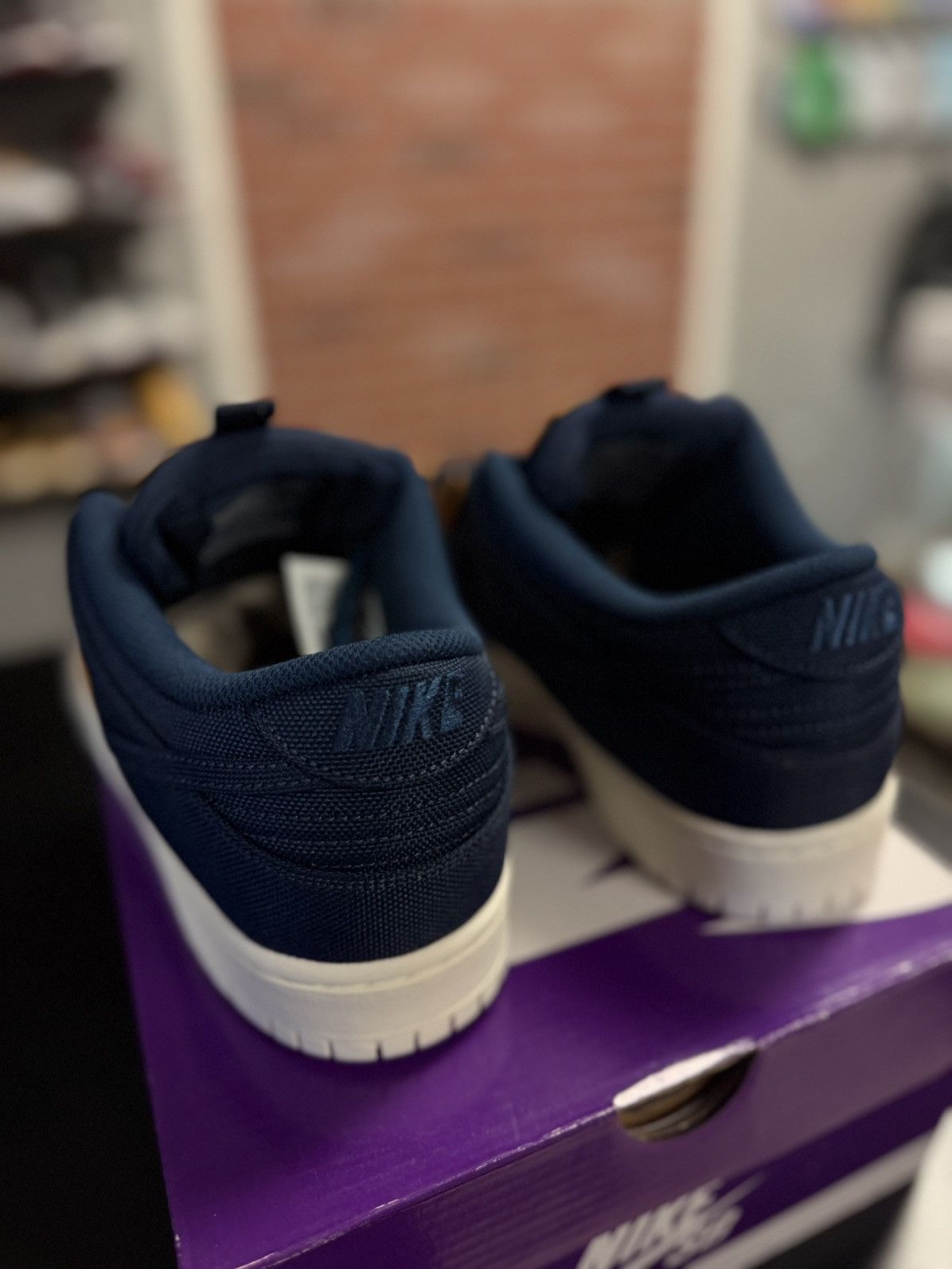 Nike SB Dunk Low 90's Backpack Size 10.5 (NEW)