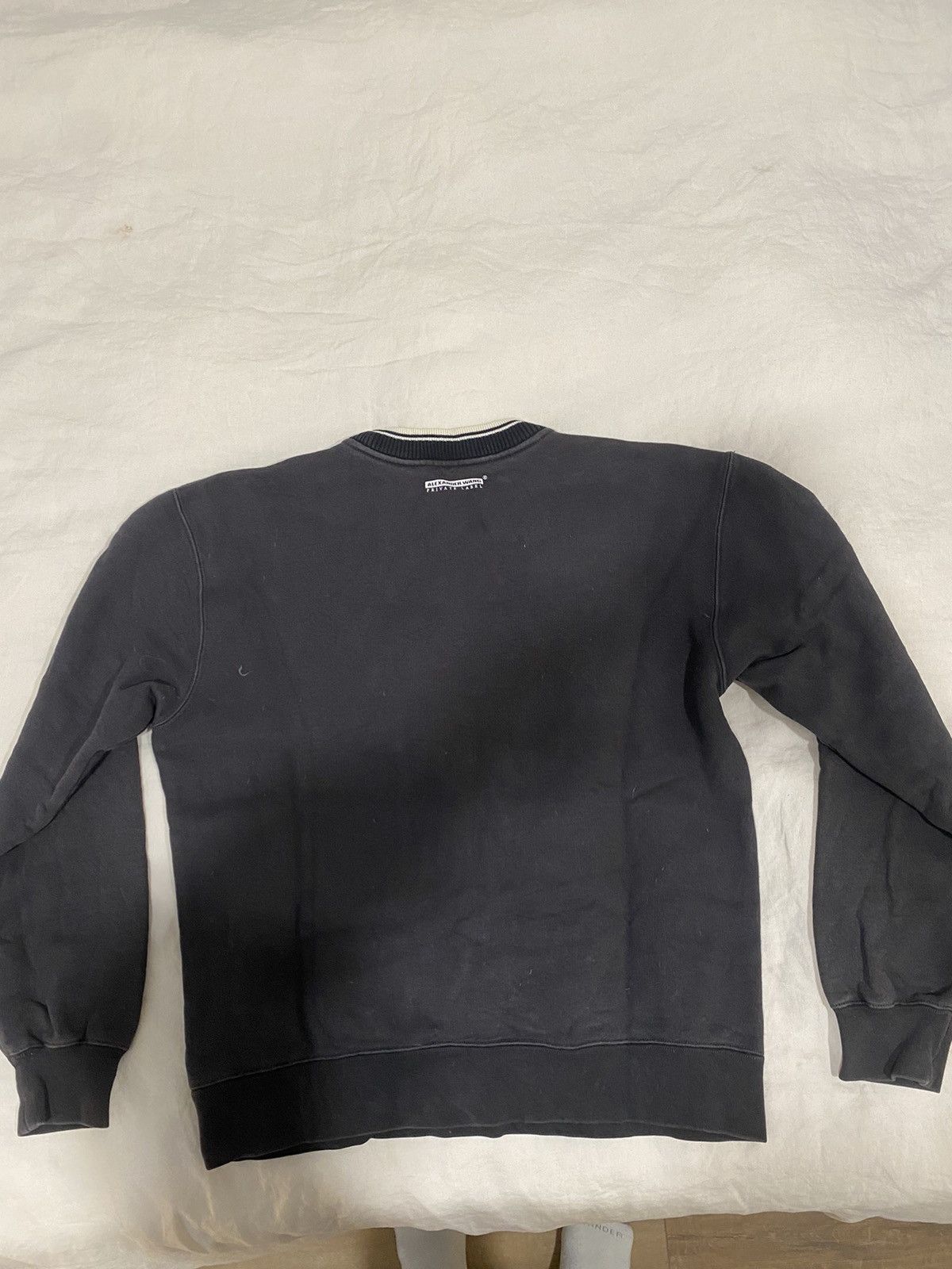 Alexander Wang Alexander Wang Moguls Only crewneck sweatshirt Size US S / EU 44-46 / 1 - 4 Thumbnail