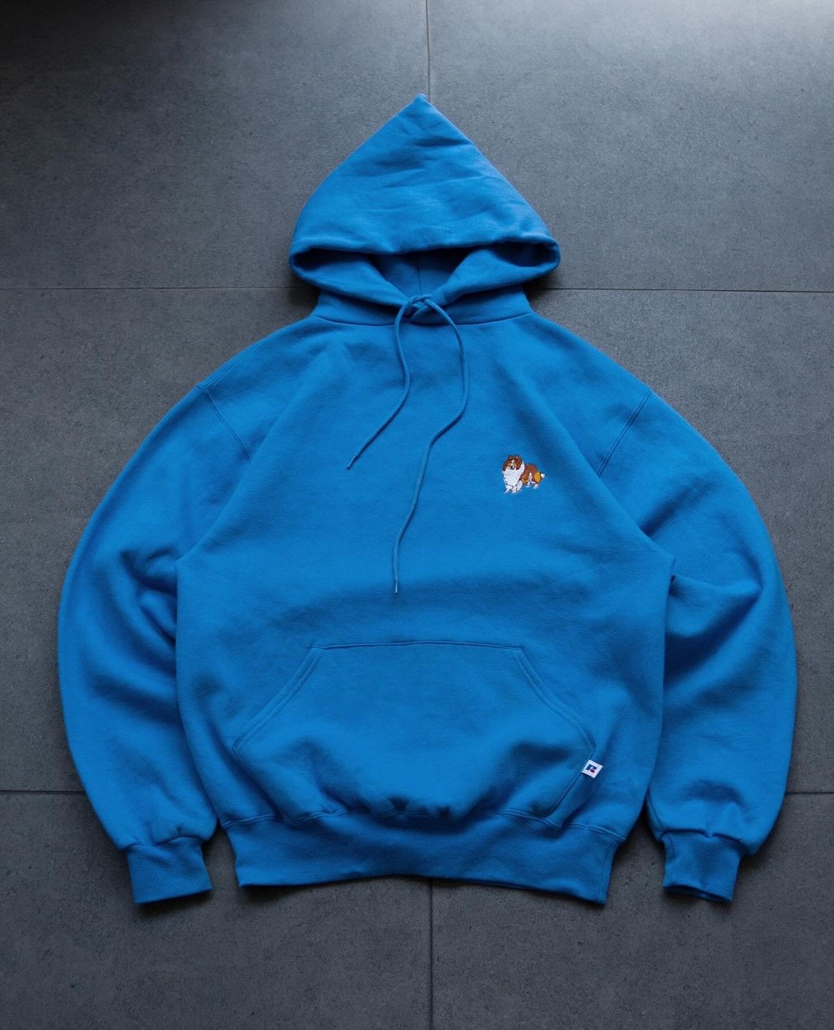 image of Sky Blue Russell Athletic Hoodie 2000S, Men's (Size Large)