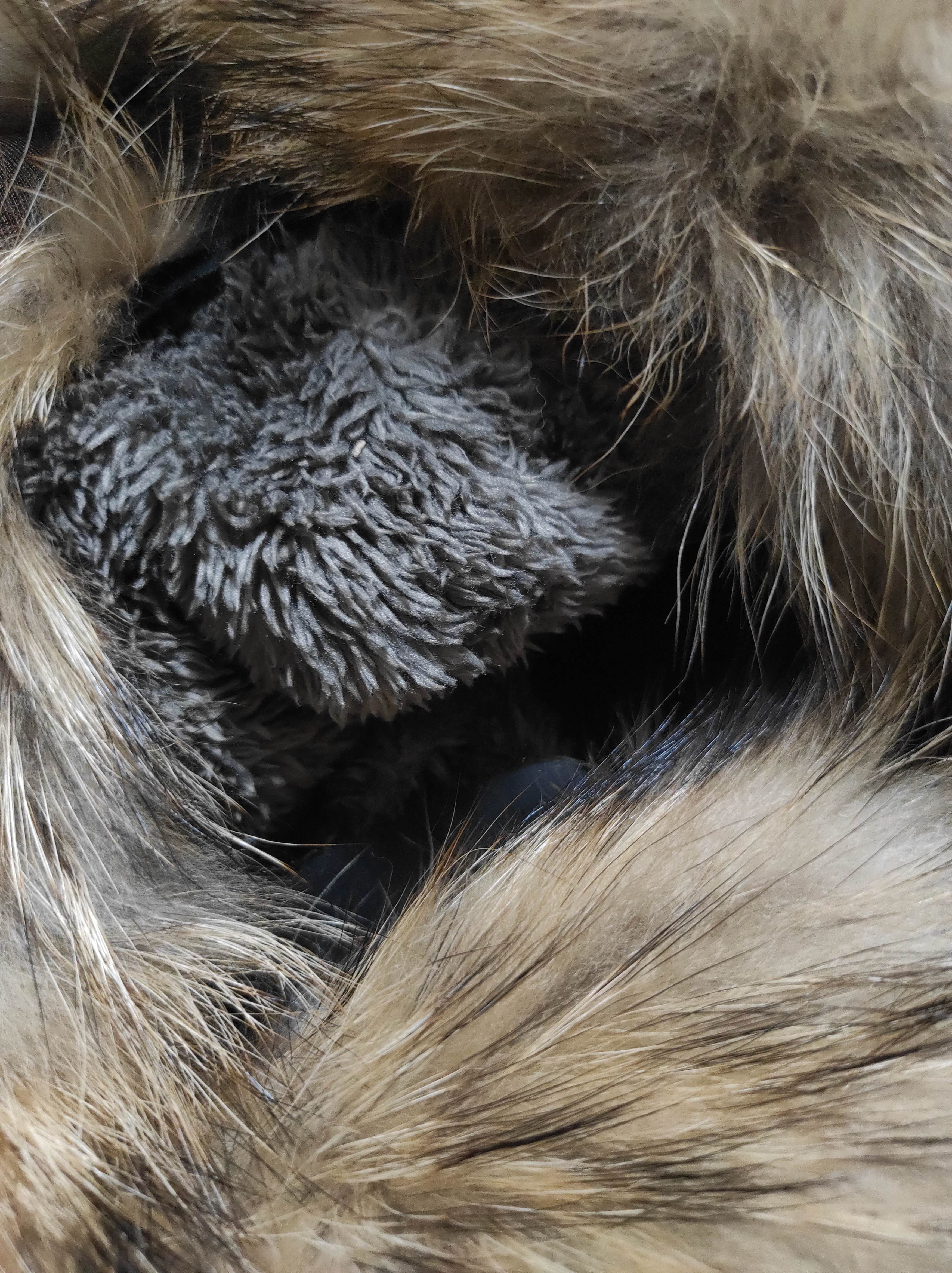 Hysteric Glamour Plus One Zipper Fur Hoodie IfSixWasNine LGB style Size US M / EU 48-50 / 2 - 8 Thumbnail