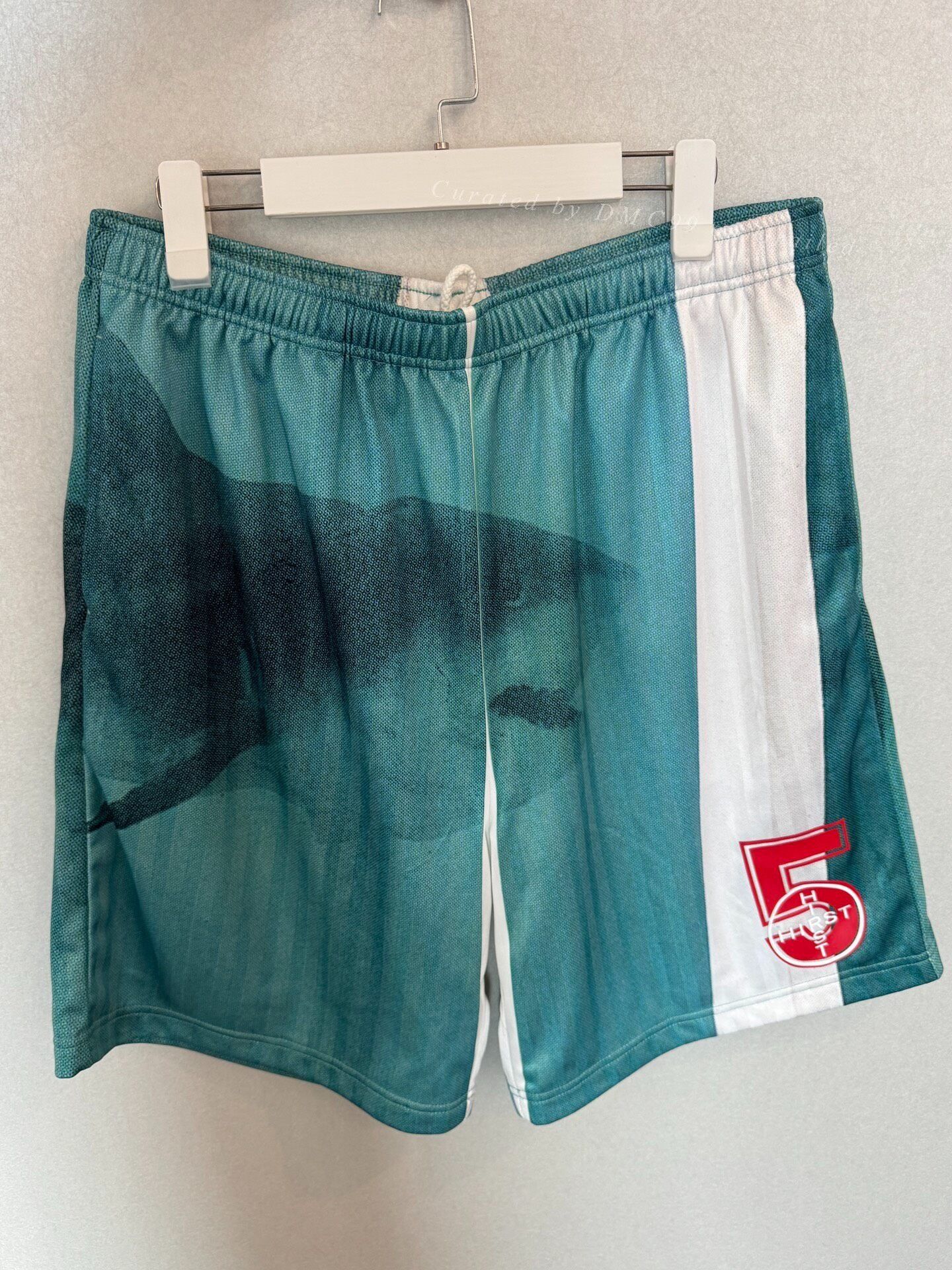 Supreme Supreme 25SS Shark Shorts Size US 30 / EU 46 - 1 Thumbnail