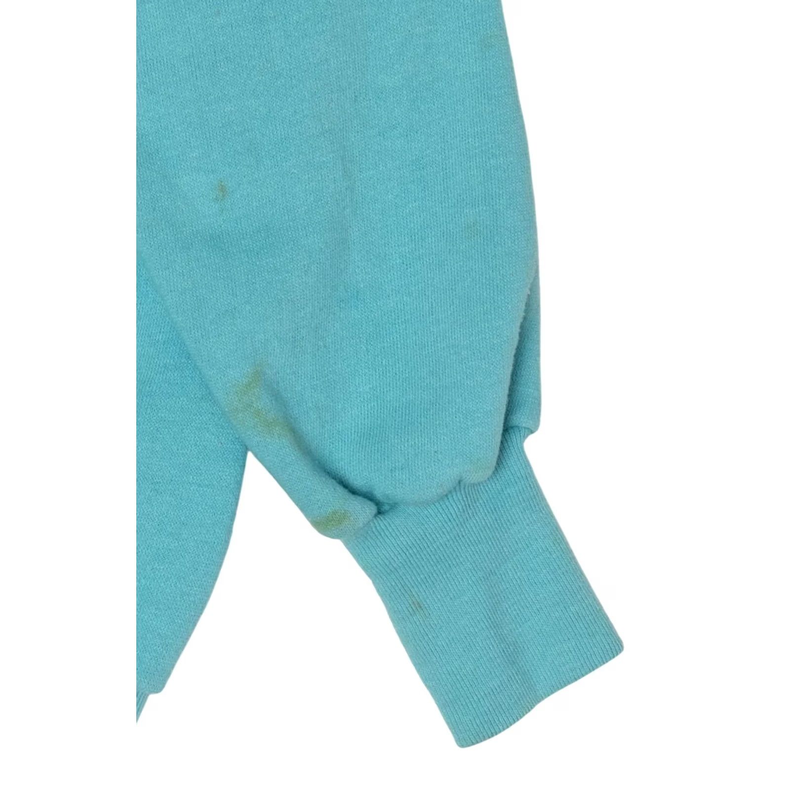 Vintage VINTAGE Desert Sweats Raglan Sweatshirt Palm Springs California Blue 1990s Medium Mens/Adults Size US M / EU 48-50 / 2 - 4 Thumbnail