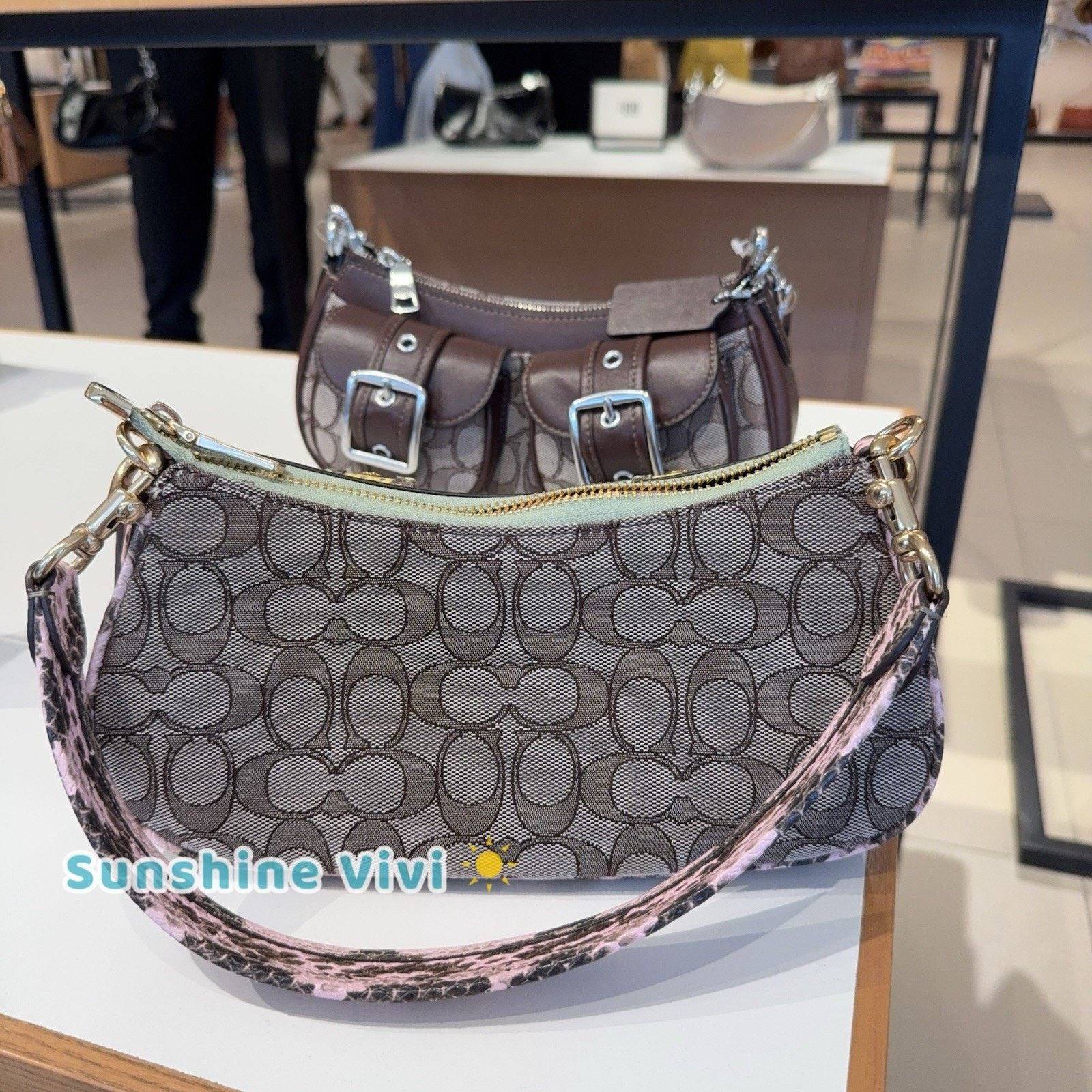 Coach NWT Coach Ashton Shoulder Bag CDW50 snake embossed leather Size ONE SIZE - 5 Thumbnail