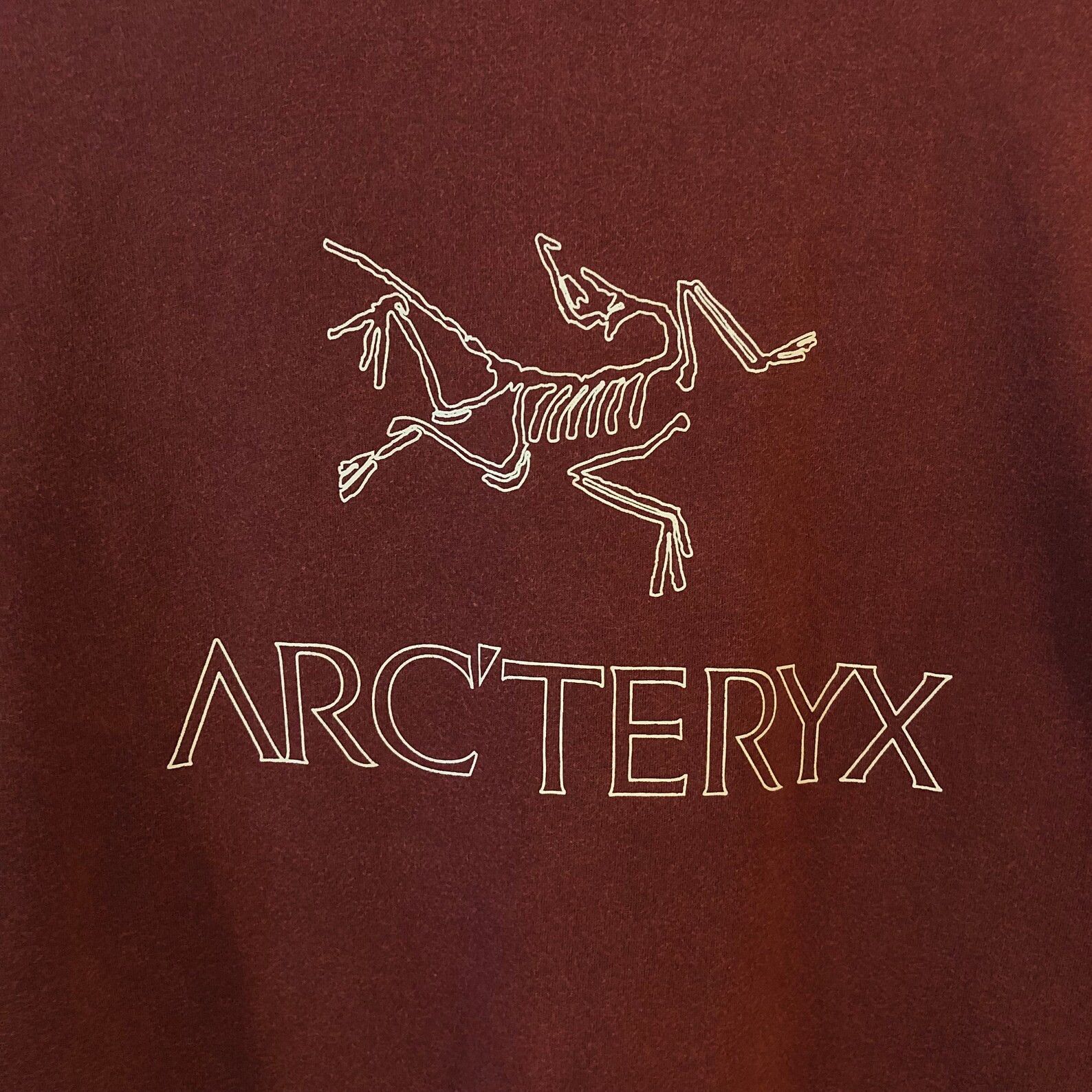 Arc'teryx Vintage Arc'teryx Logo T-shirt Size US L / EU 52-54 / 3 - 3 Thumbnail