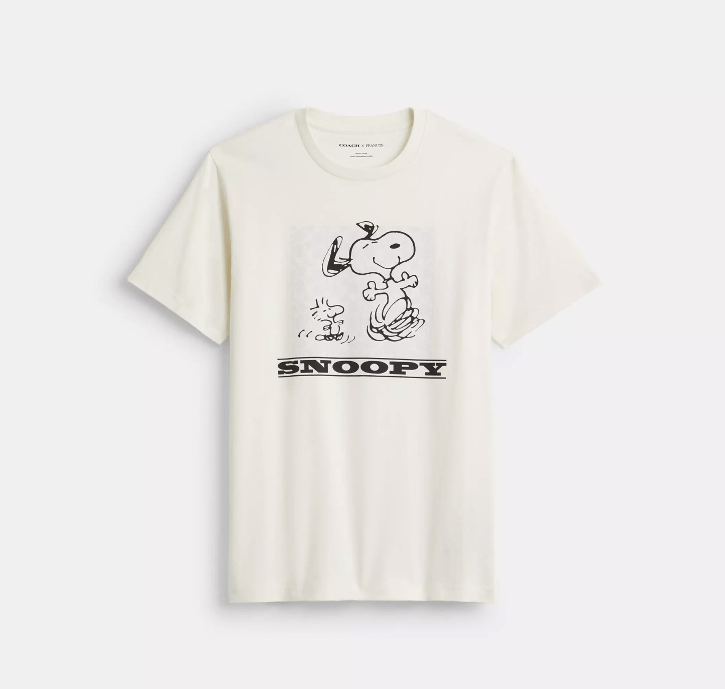 COACH x PEANUTS Men's Snoopy T-Shirt CAF64 Chalk Xl