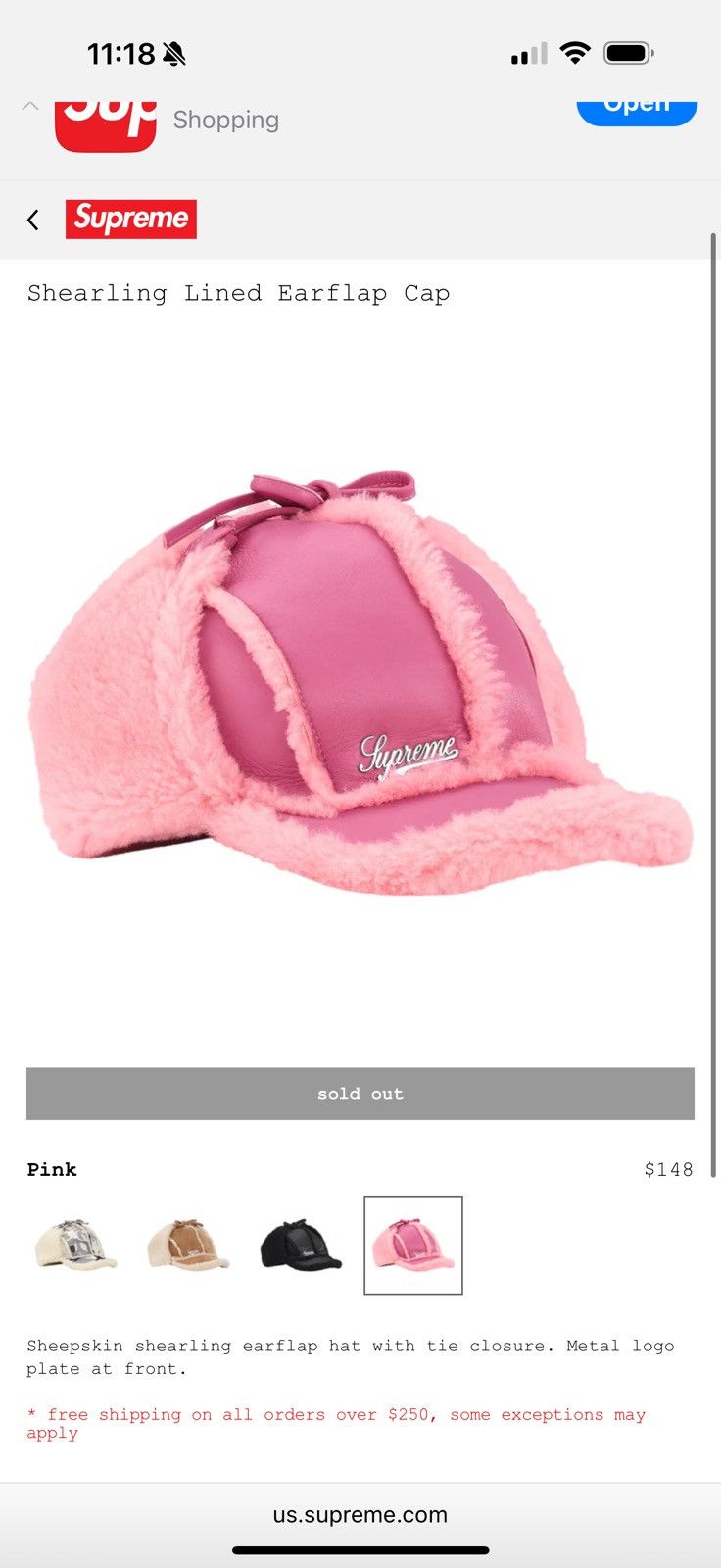 STÜSSY & MOUNTAIN HARDWEAR EAR FLAP BEANIE