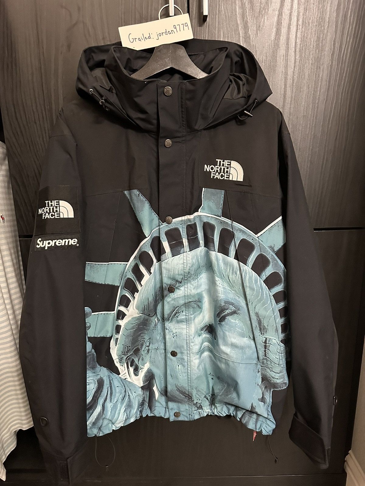 Supreme The North Face Statue Of Liberty Mountain Jacket | Grailed