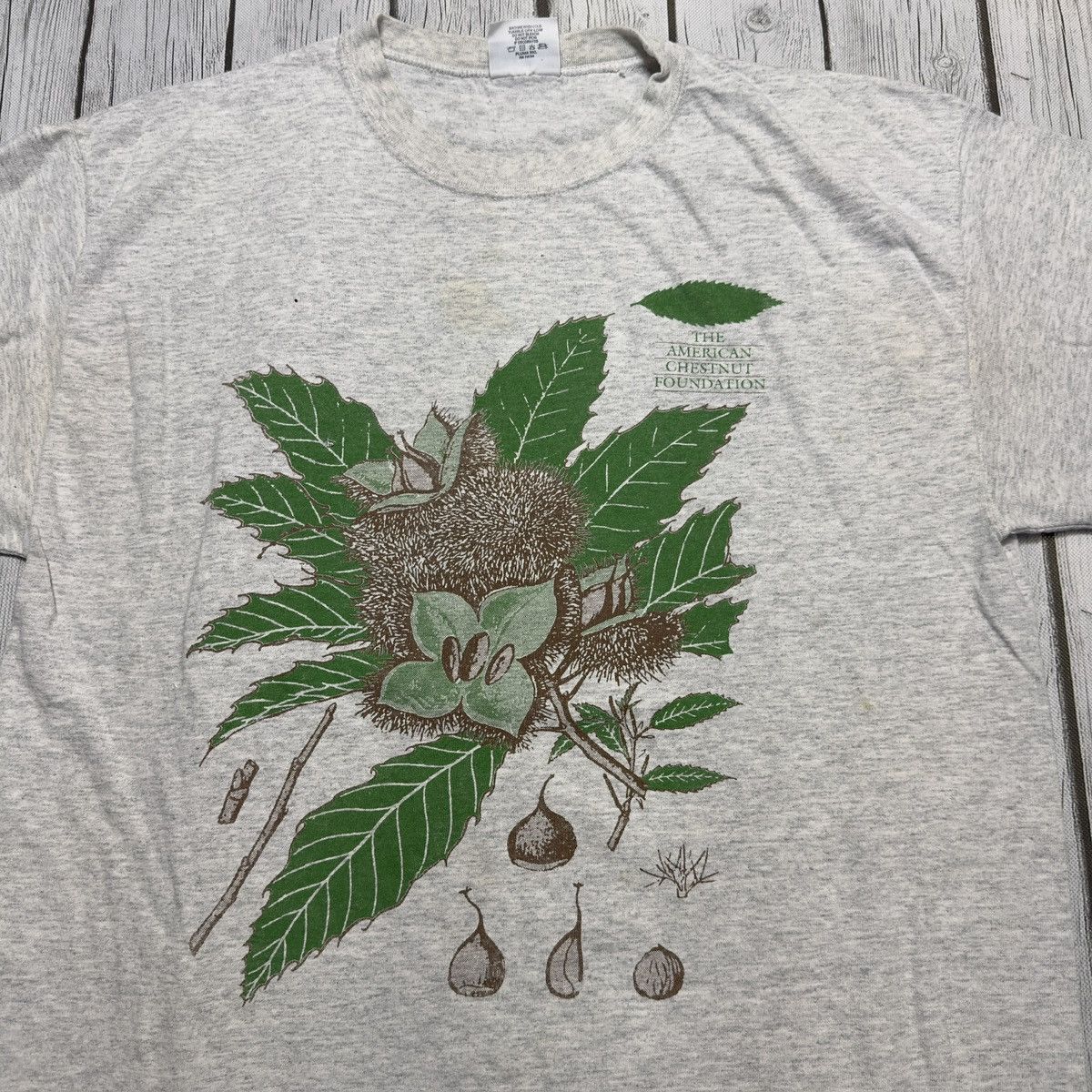Vintage Vintage American Chestnut Foundation tee Size US M / EU 48-50 / 2 - 3 Thumbnail