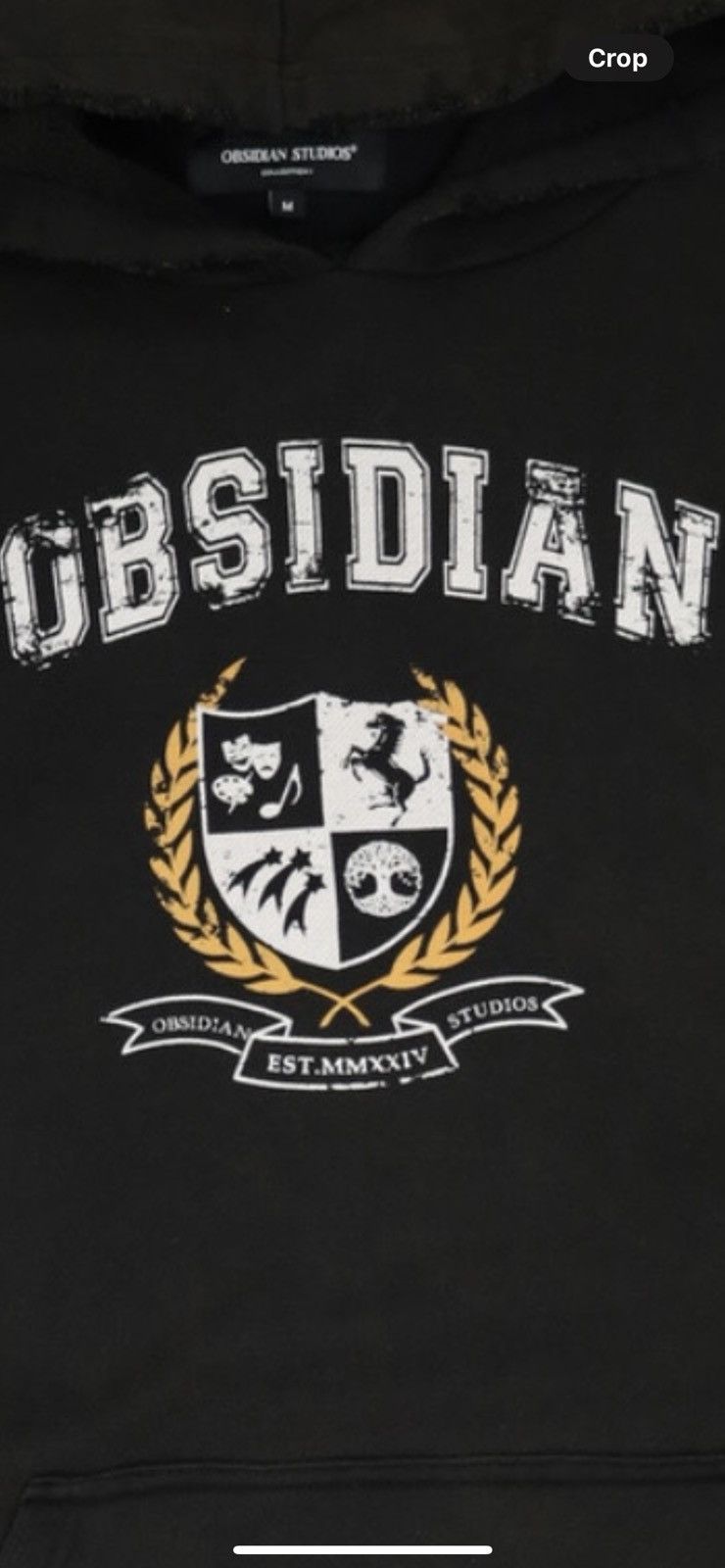 Vintage Obsidian Studios Crest hoodie Size US M / EU 48-50 / 2 - 4 Thumbnail