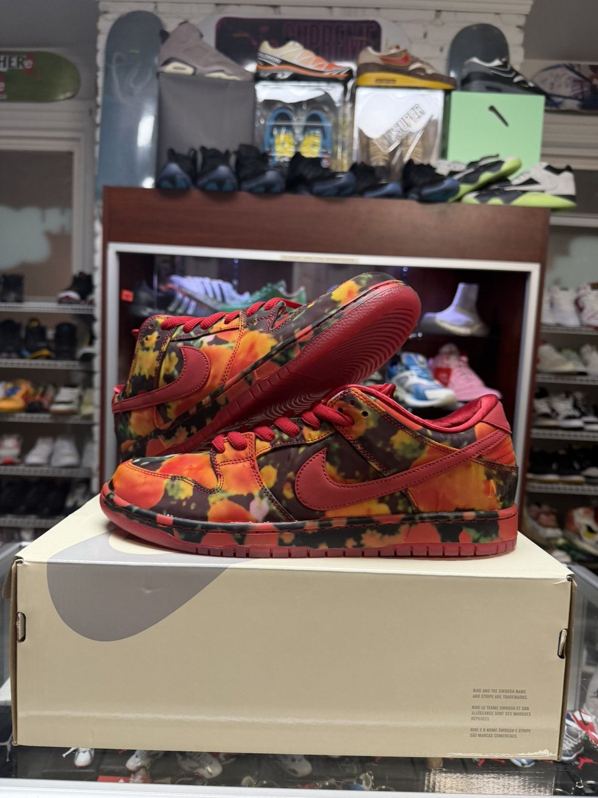 Nike Sb X Wizard of Oz Dunk
