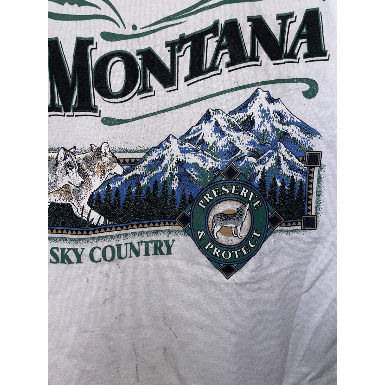Jerzees Vintage Montana Shirt Big Sky Country Preseve Nature Tee 90s Size US S / EU 44-46 / 1 - 5 Thumbnail