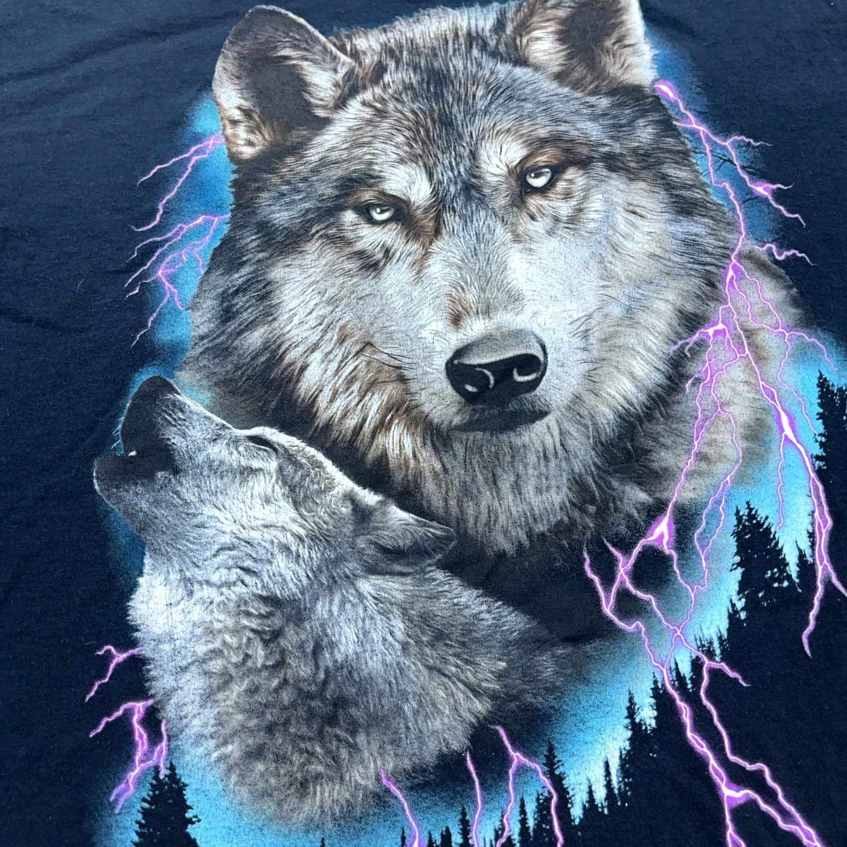 Gildan VINTAGE Gildan T-Shirt Men XL Black Nature Graphic Print Biker Motorcycle Wolf 80s Retro Skull Thunder Lightning Shirt XS? Size US XL / EU 56 / 4 - 3 Thumbnail