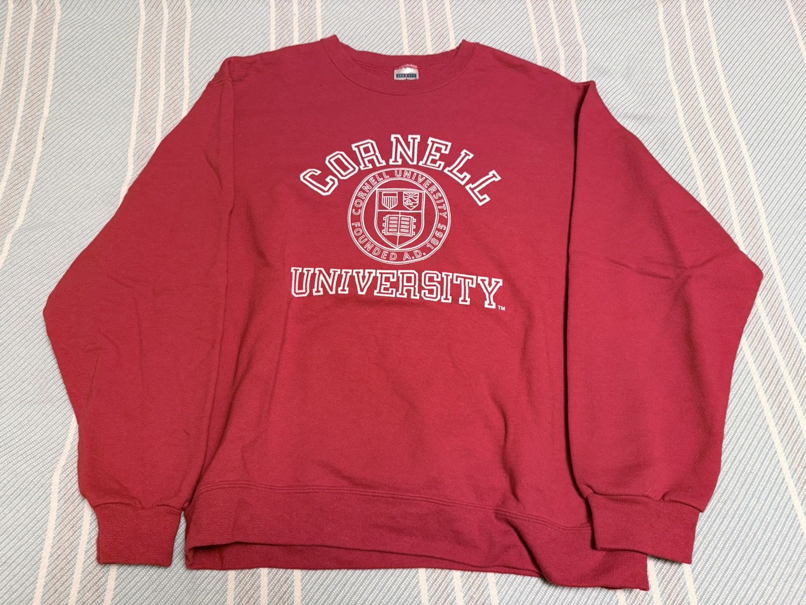 Jerzees Jerzees Cornell Collegiate Sweatshirt Size US L / EU 52-54 / 3 - 1 Thumbnail