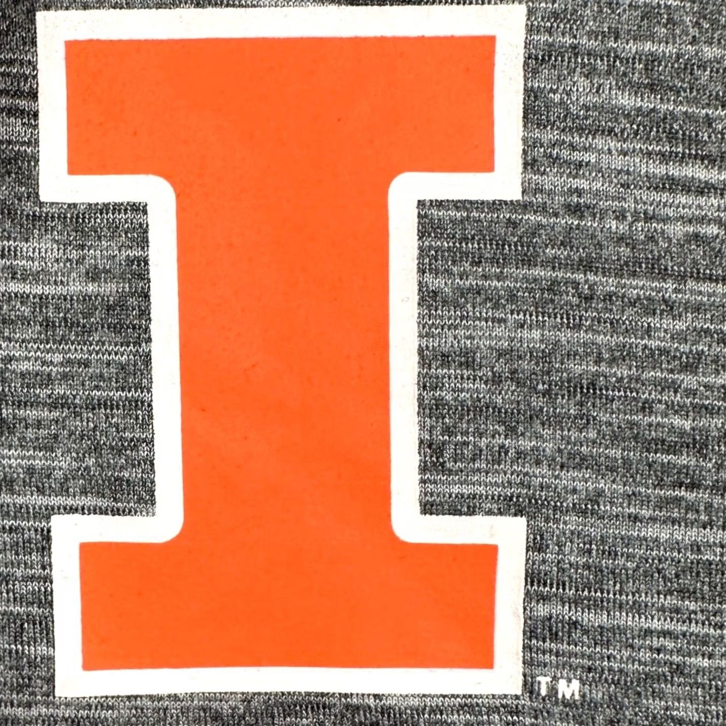 Champion VINTAGE? Illinois Fighting Illini Sweatshirt Quarter Zip Mens 2XL Gray Stretch Champion Size US XXL / EU 58 / 5 - 4 Thumbnail