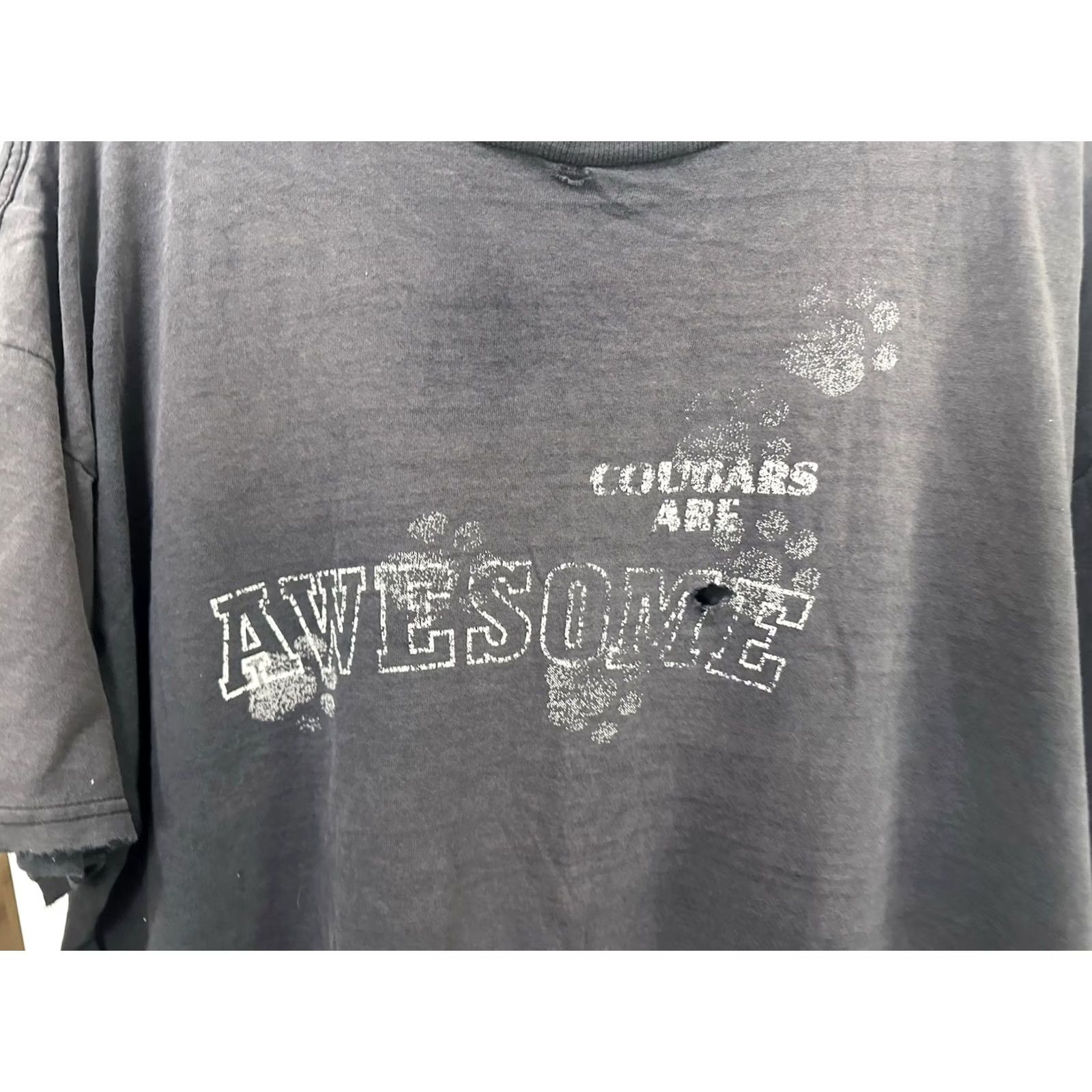 Tultex VTG 90s Cougars Are Awesome MILF Gradient Sun Faded Worn Thrashed T-Shirt 2XL Size US XXL / EU 58 / 5 - 5 Thumbnail