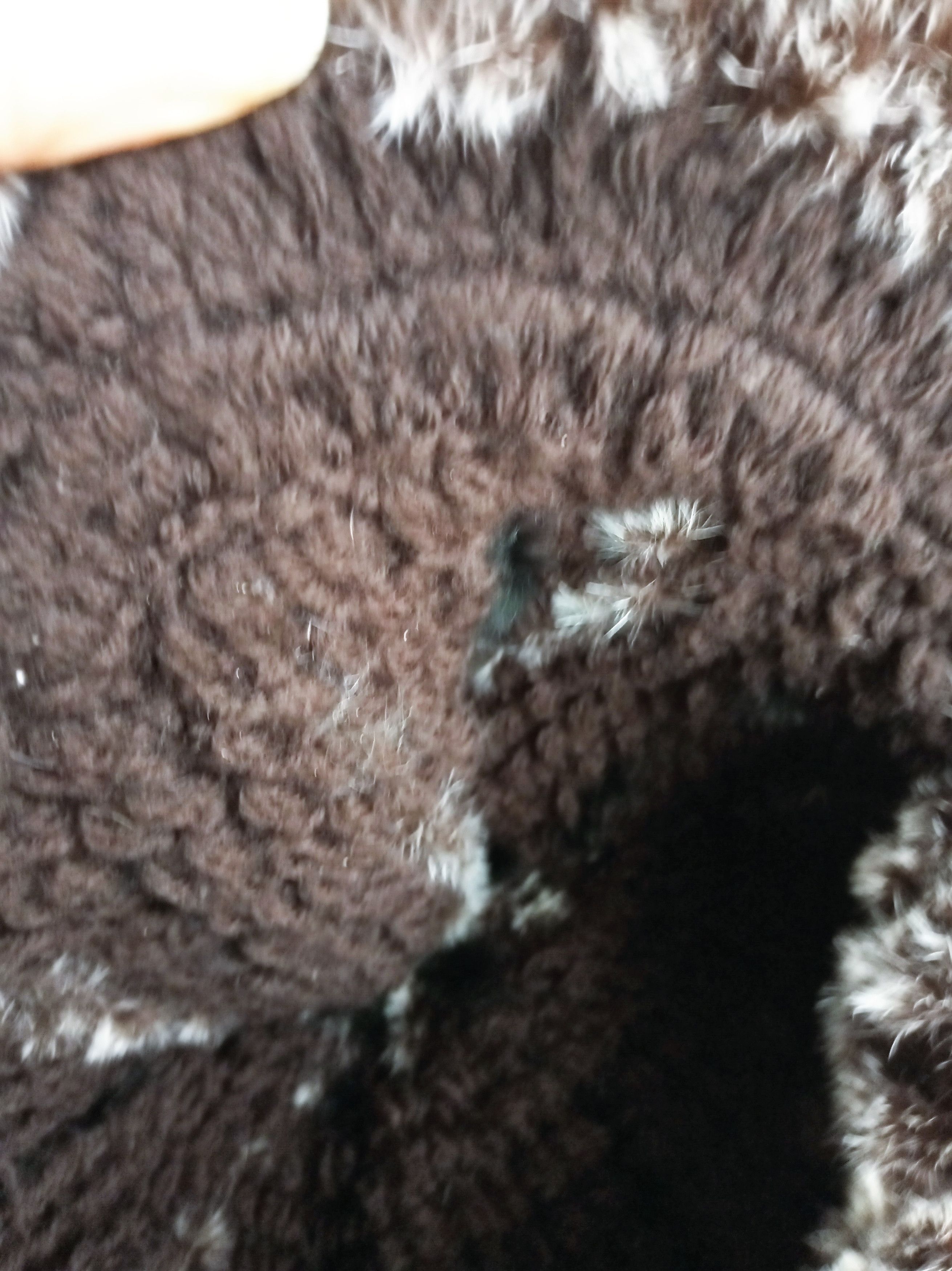 Other Unisex Real Rabbit Fur Hat Size ONE SIZE - 14 Thumbnail