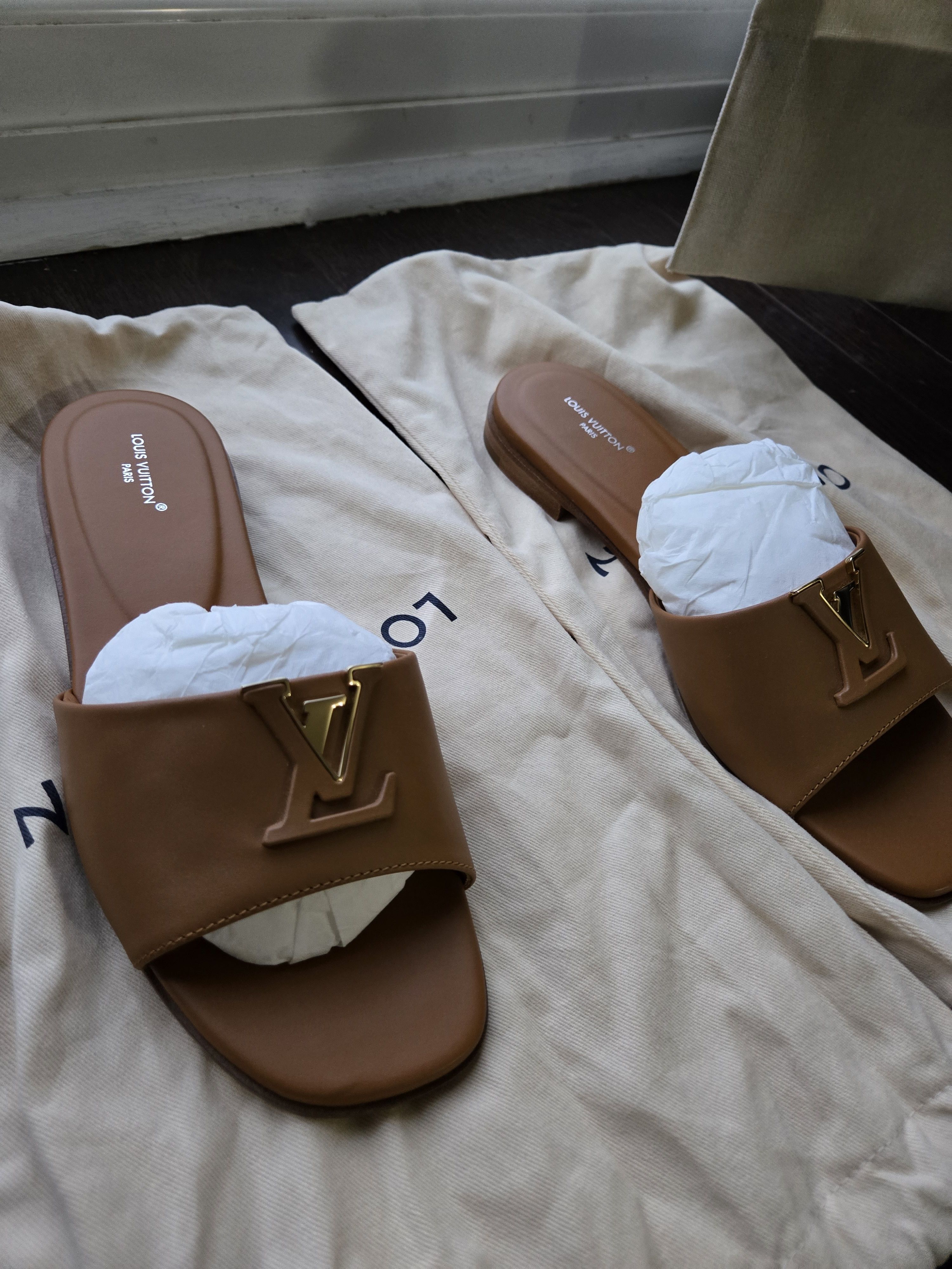 Louis Vuitton LOUIS VUITTON Brand New Size 37 Flats Size US 7 / IT 37 - 7 Thumbnail