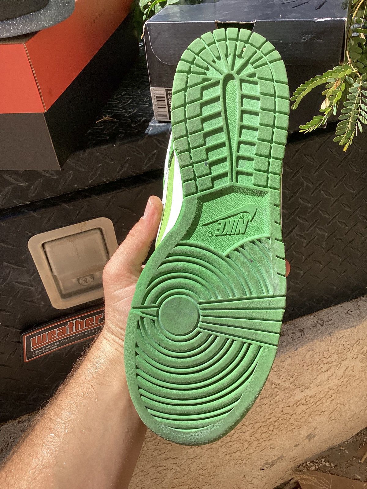 Nike Used Nike Dunk Low Chlorophyll DH9765-301 green 8.5 shoe Size US 8.5 / EU 41-42 - 4 Thumbnail