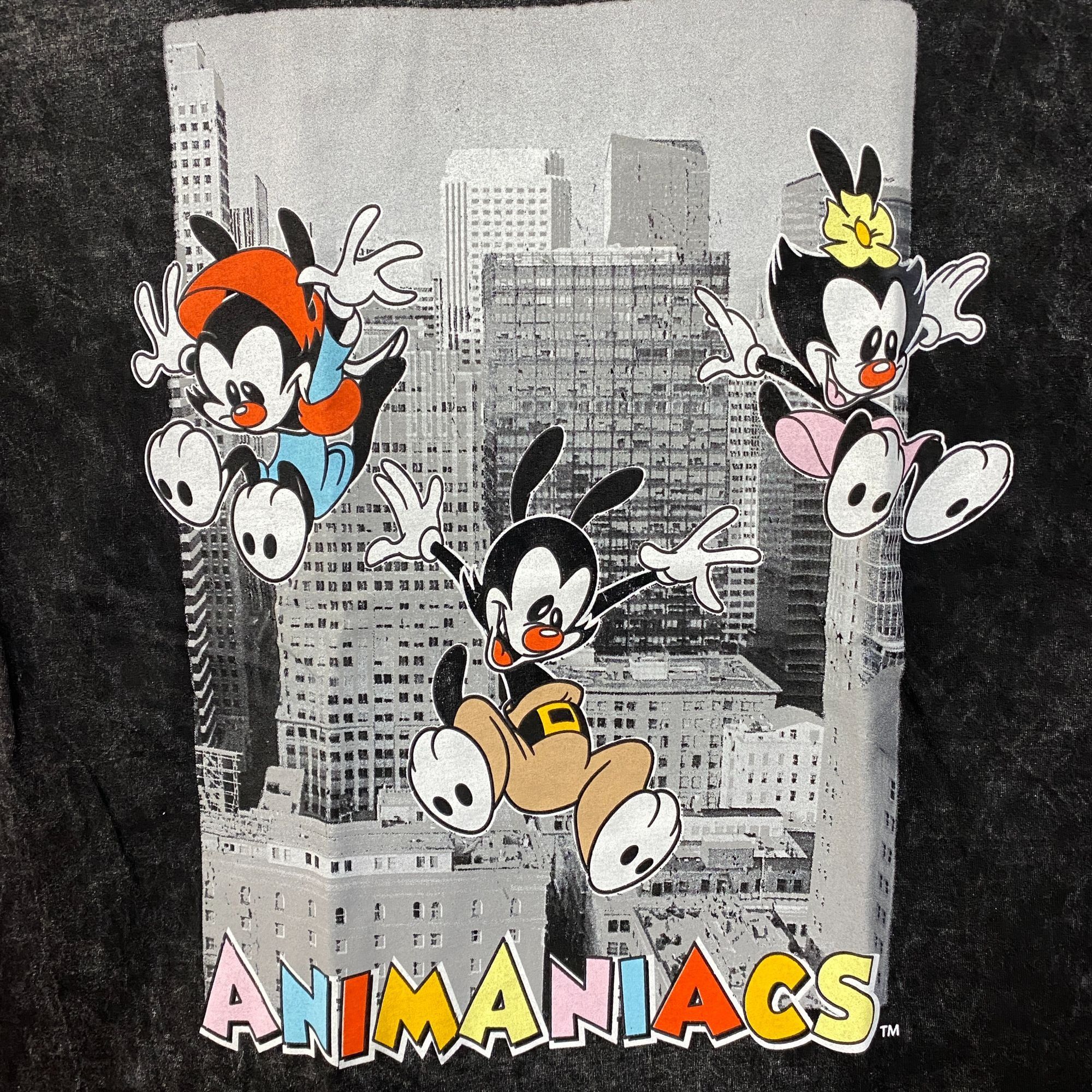 Warner Bros Warner Bros. Animaniacs Cartoon City Graphic Mineral Wash Vi Size US L / EU 52-54 / 3 - 2 Thumbnail