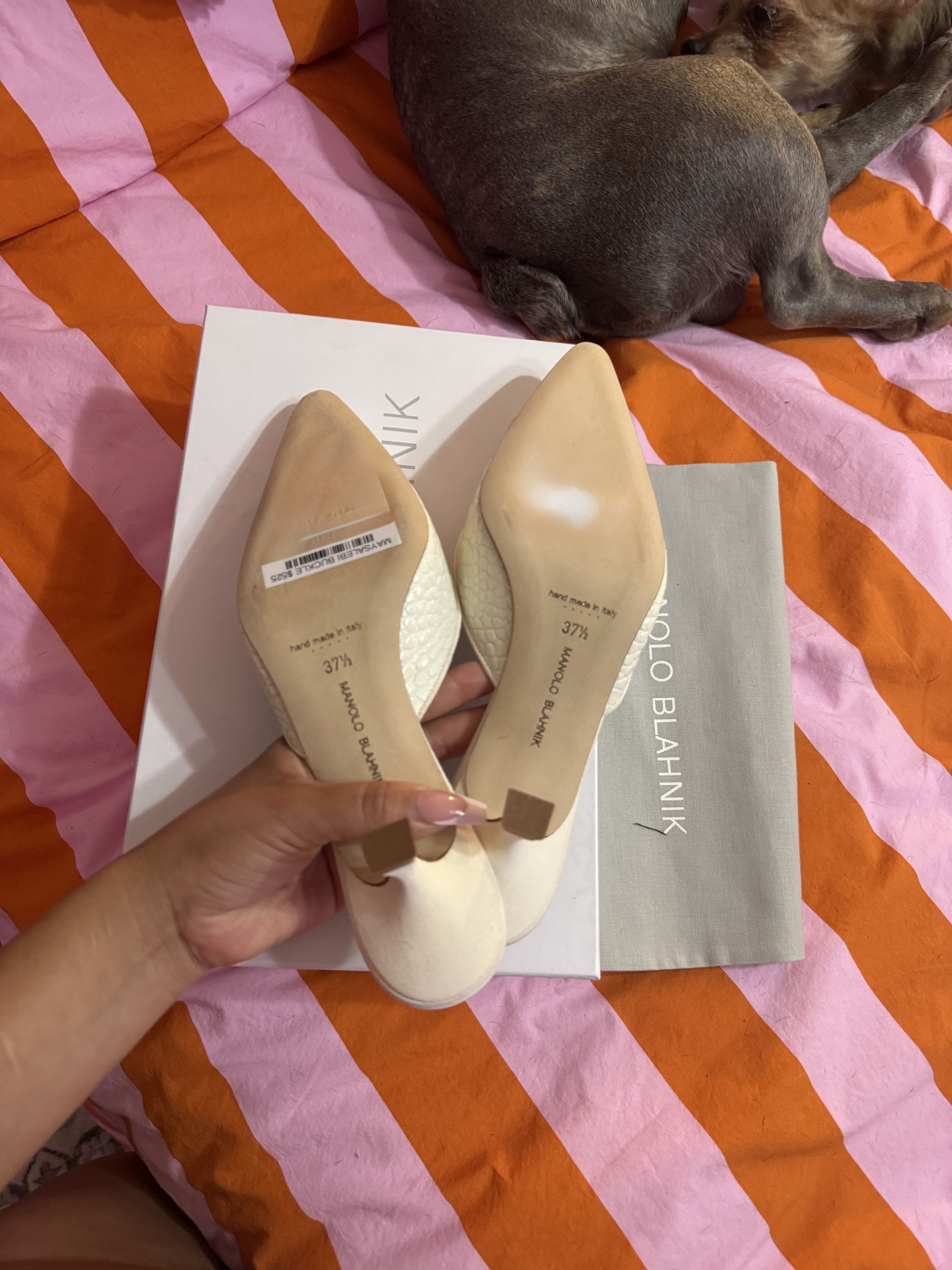 Manolo Blahnik Maysalebi Size US 7.5 / IT 37.5 - 3 Thumbnail