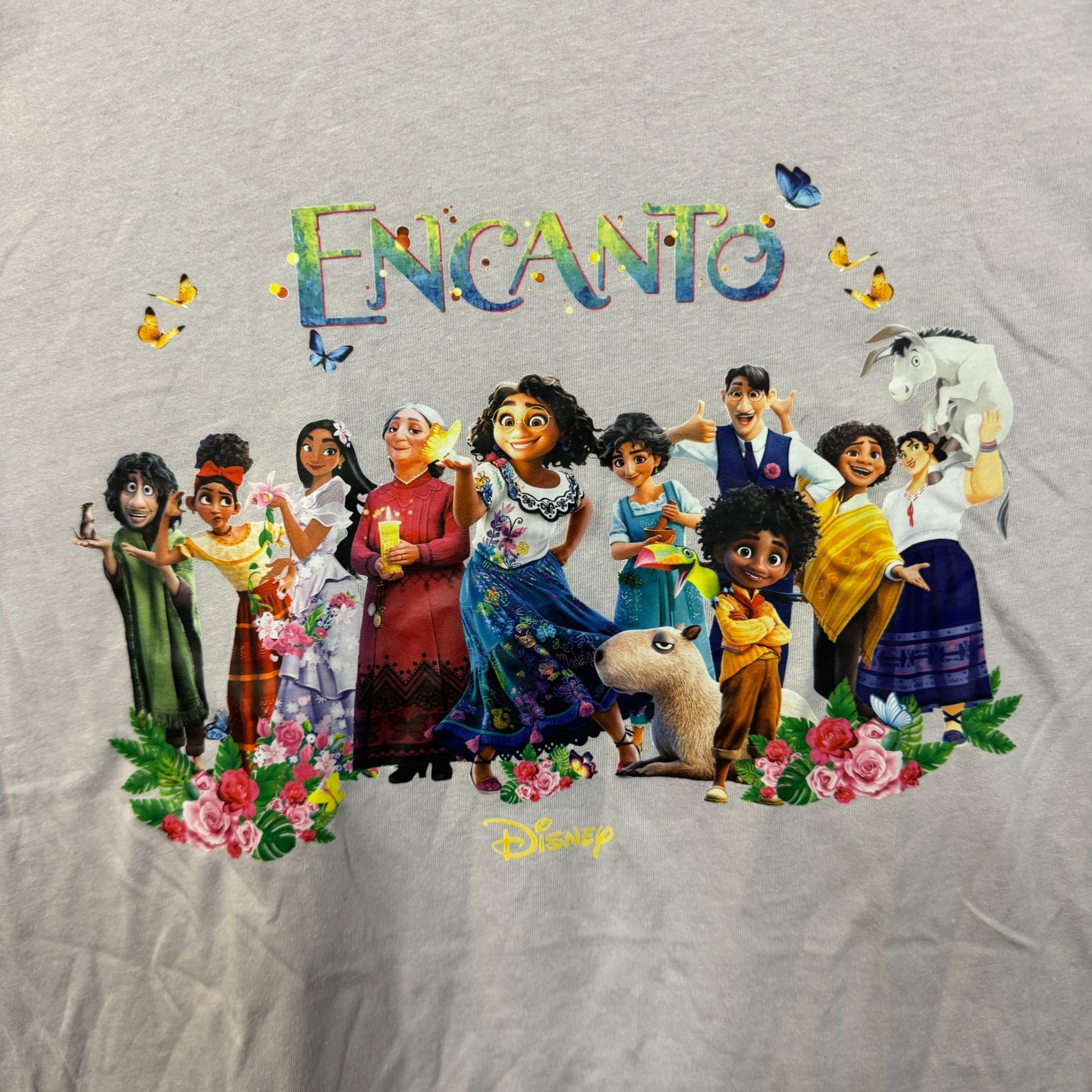 Disney Disney's Encanto Familia Madrigal T-shirt size 2XL Size US XXL / EU 58 / 5 - 2 Thumbnail