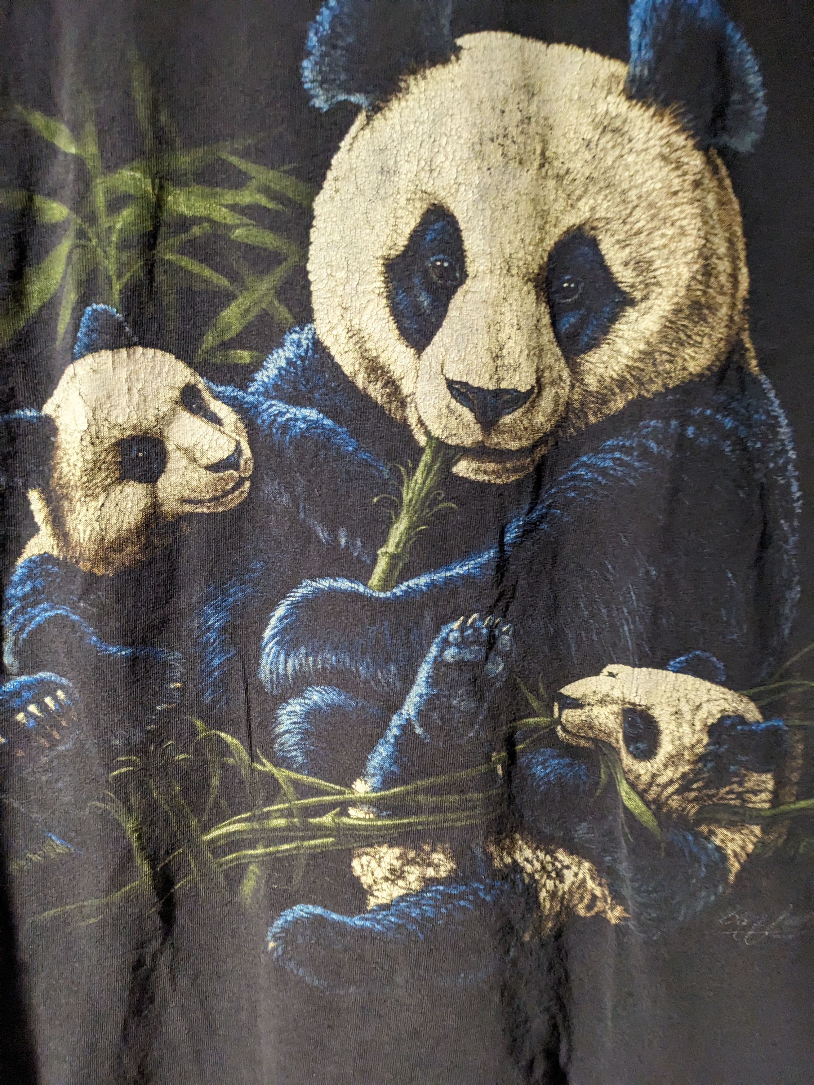 Vintage Vintage 90s Panda Cub Bamboo Animal Nature X-Large T-Shirt Size US XL / EU 56 / 4 - 2 Thumbnail
