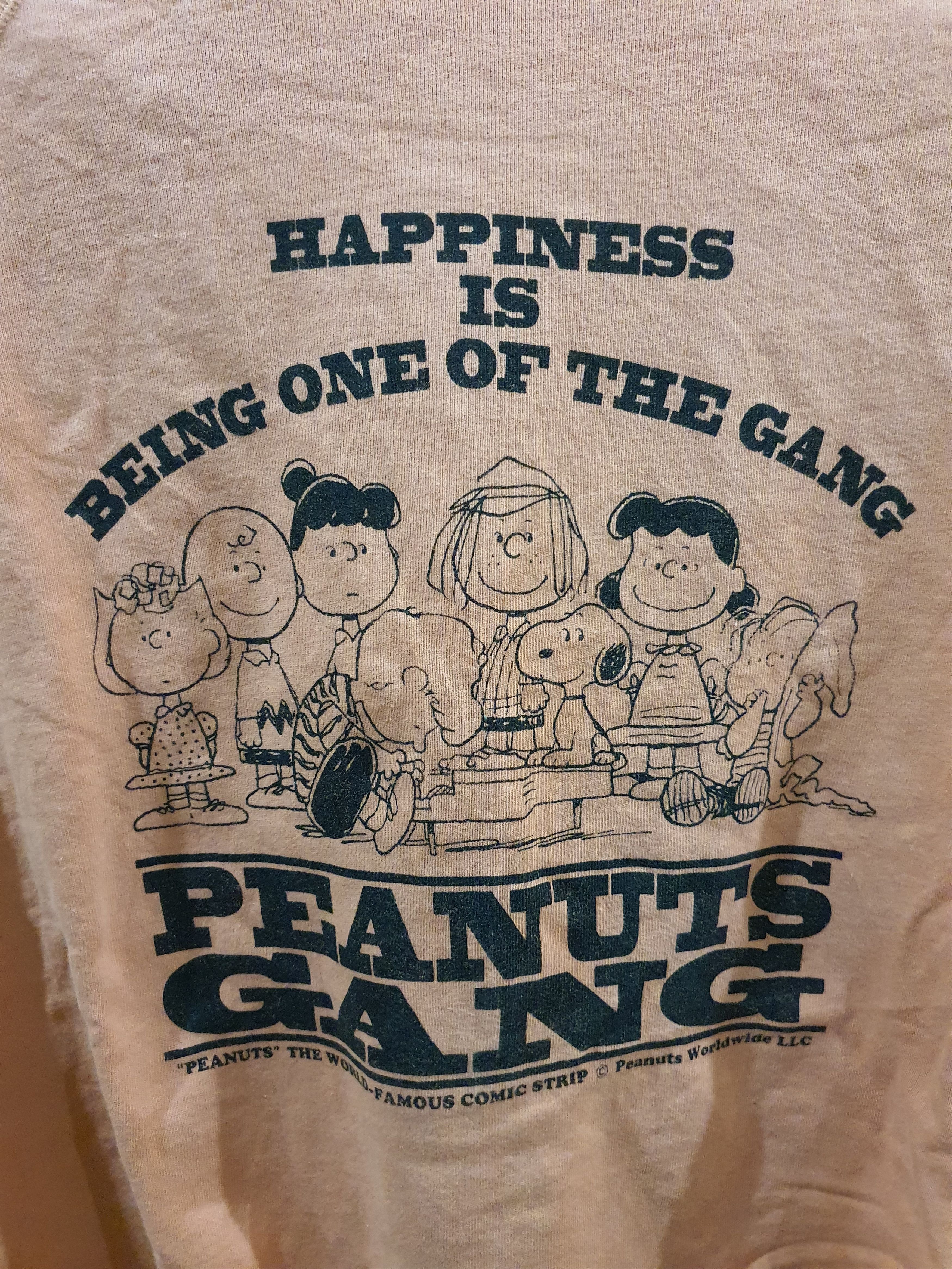 Peanuts Vintage Peanuts Gang short-sleeve sweatshirt Size US L / EU 52-54 / 3 - 4 Thumbnail