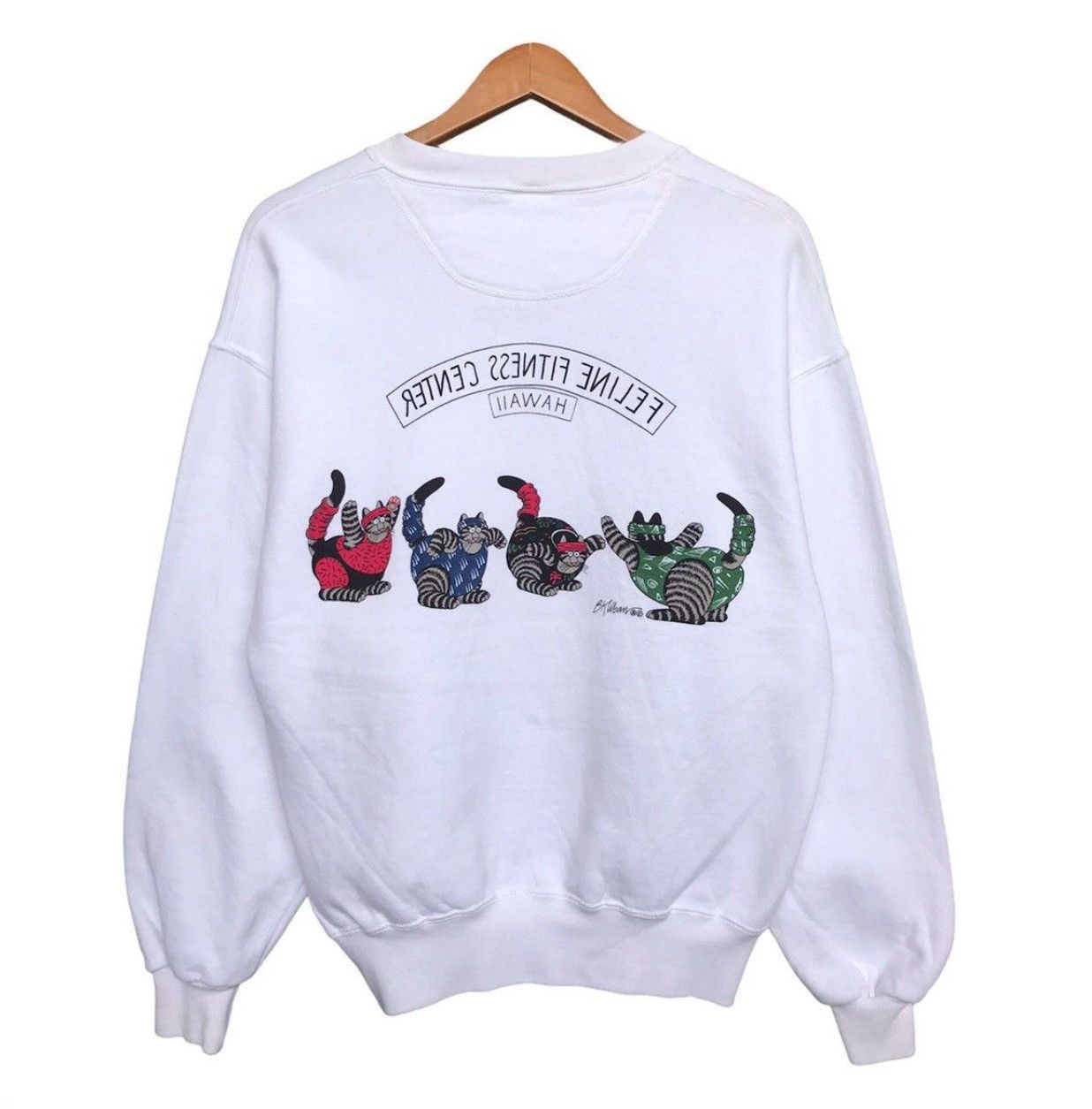 Vintage Vintage Crazy Shirt Bkliban Hawaii Feline Sweatshirt Baggy Size US S / EU 44-46 / 1 - 5 Thumbnail