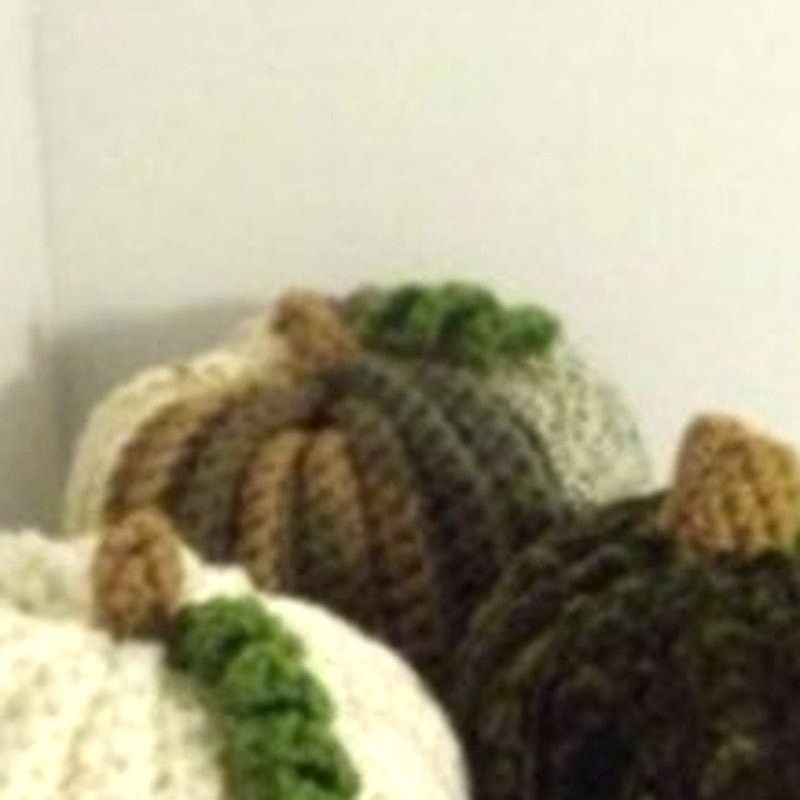 Handmade NWT Multicolor Handmade Crocheted Pumpkin Set of 3 by Dawny Size ONE SIZE - 3 Thumbnail