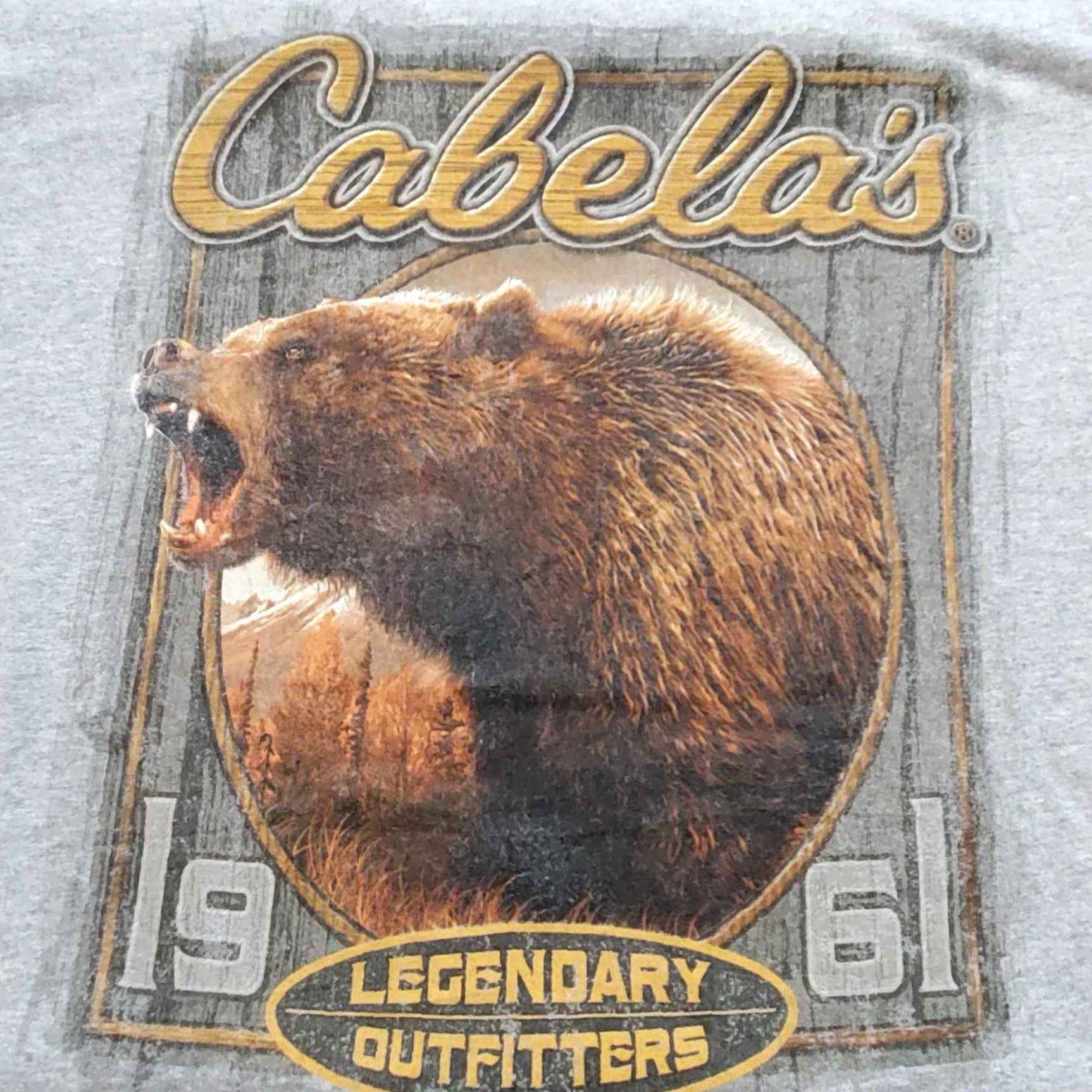 Vintage Cabela's T-Shirt Mens XL Gray Bear Outdoors Nature Logo Short Sleeve Crew Neck Large & Tall Big & Tall Classic Outdoor Modern Size US XL / EU 56 / 4 - 2 Thumbnail