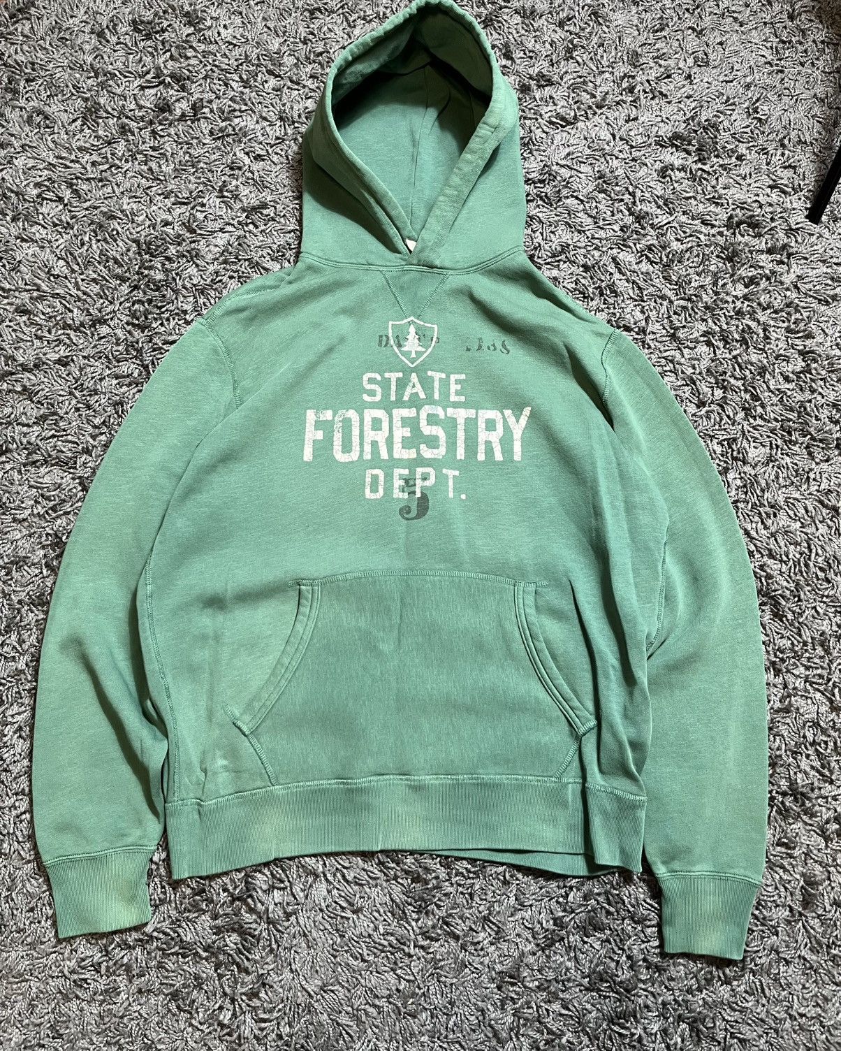 Polo Ralph Lauren RALPH LAUREN STATE FORESTRY DEPT. COTTON Y2K STYLE HOODIE Size US L / EU 52-54 / 3 - 1 Thumbnail